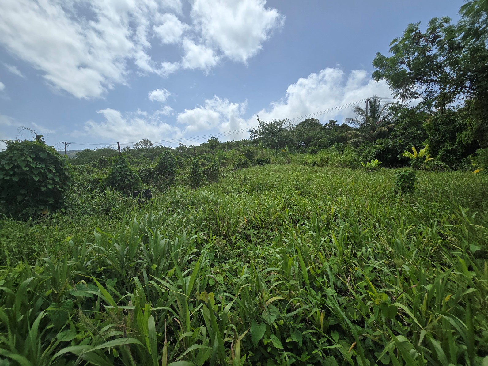 59,683 sqft (1.37 acre) residential lot for sale in Morne Daniel, Dominica – inquire for price