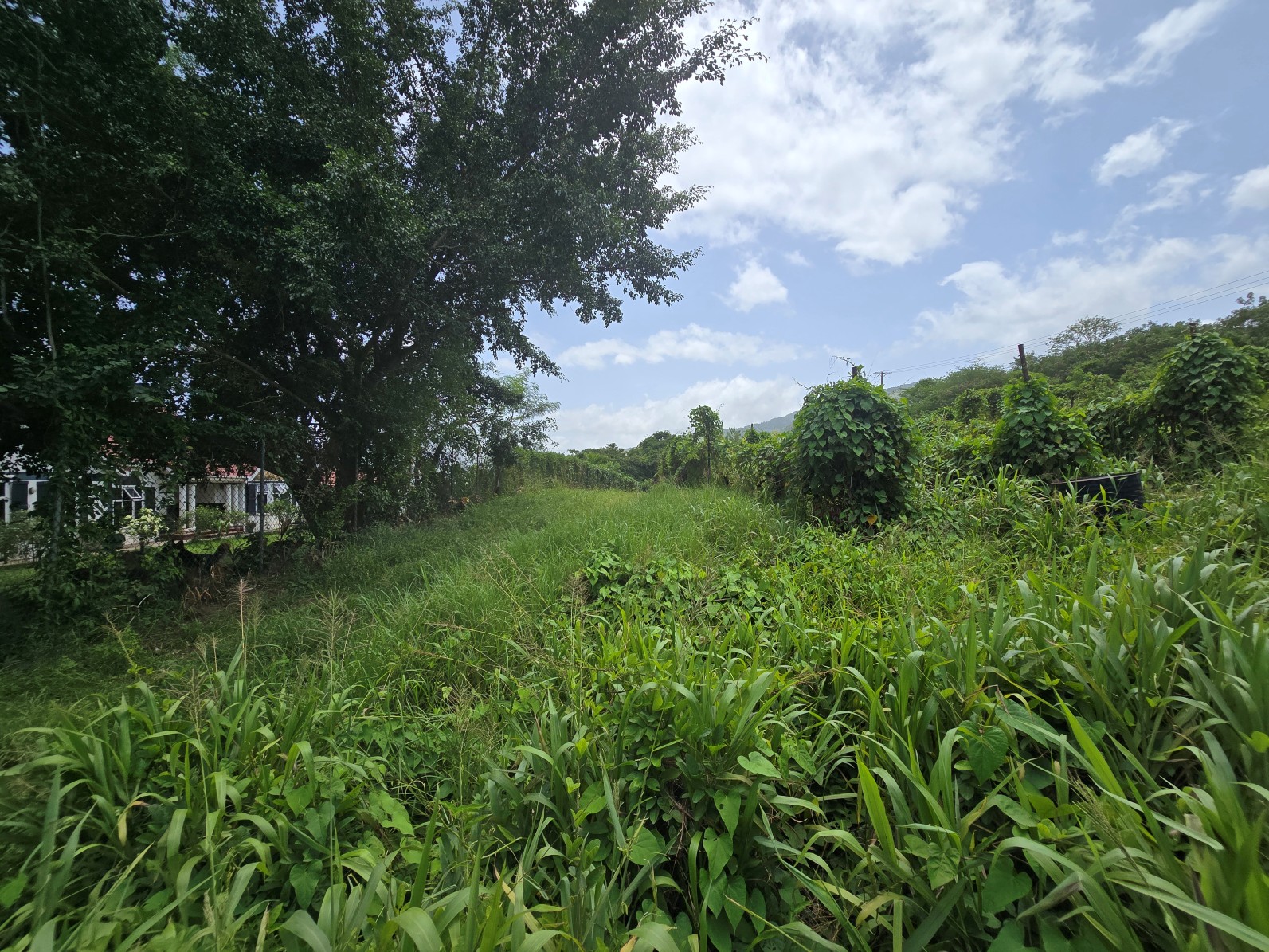 59,683 sqft (1.37 acre) residential lot for sale in Morne Daniel, Dominica – inquire for price