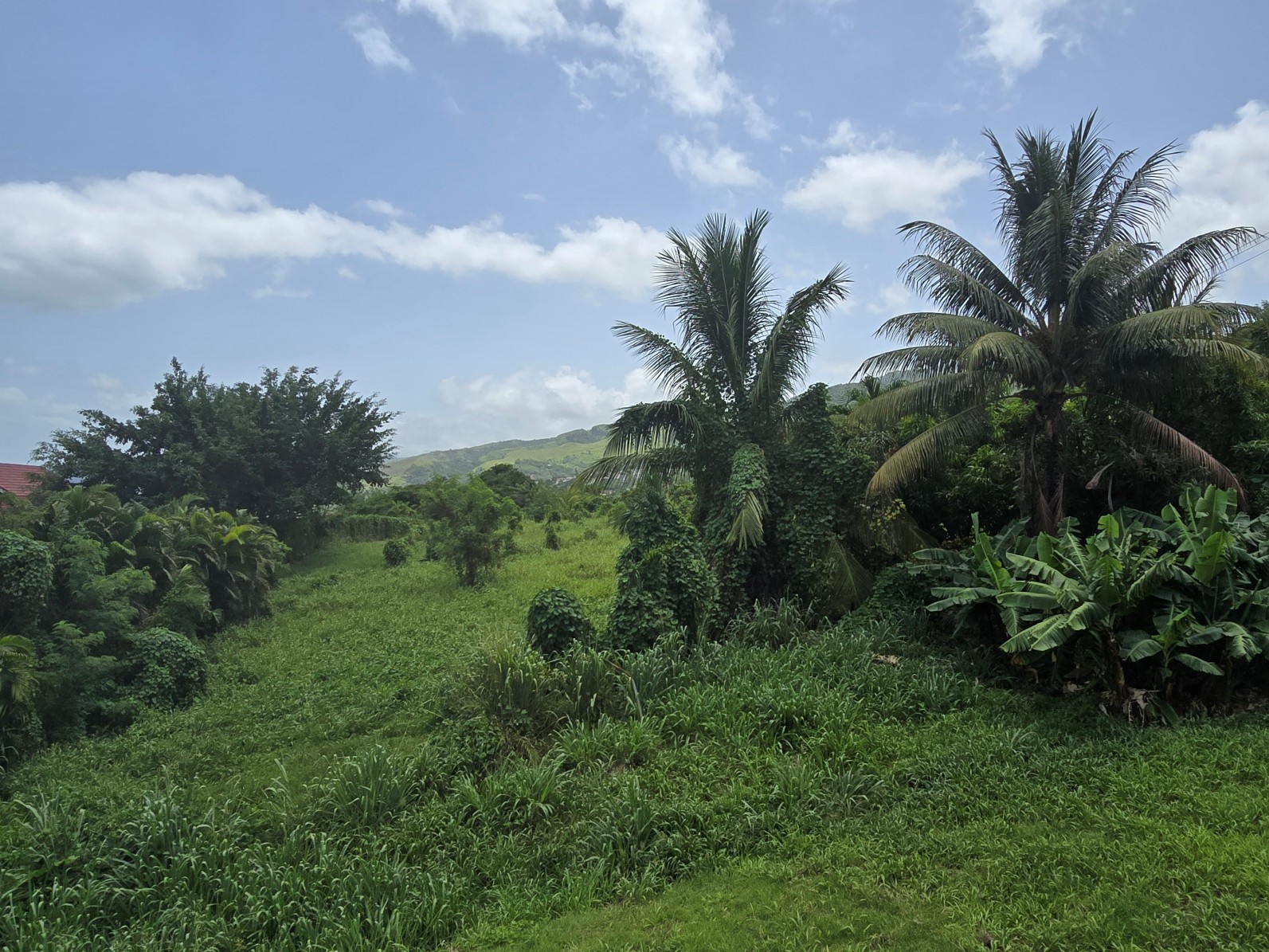 59,683 sqft (1.37 acre) residential lot for sale in Morne Daniel, Dominica – inquire for price