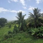 59,683 sqft (1.37 acre) residential lot for sale in Morne Daniel, Dominica – inquire for price