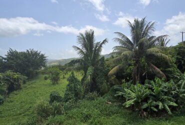 59,683 sqft (1.37 acre) residential lot for sale in Morne Daniel, Dominica – inquire for price