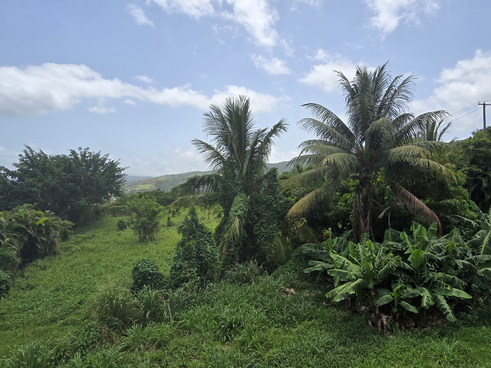59,683 sqft (1.37 acre) residential lot for sale in Morne Daniel, Dominica – inquire for price
