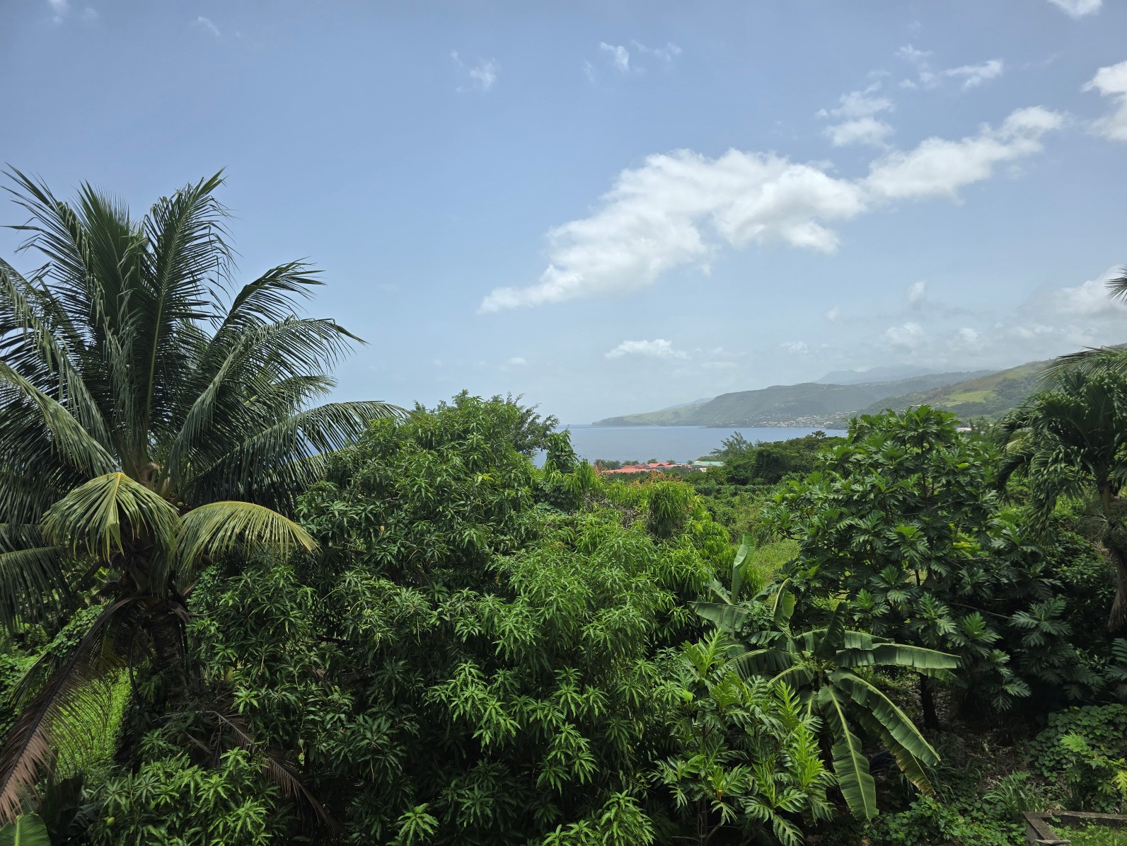 59,683 sqft (1.37 acre) residential lot for sale in Morne Daniel, Dominica – inquire for price