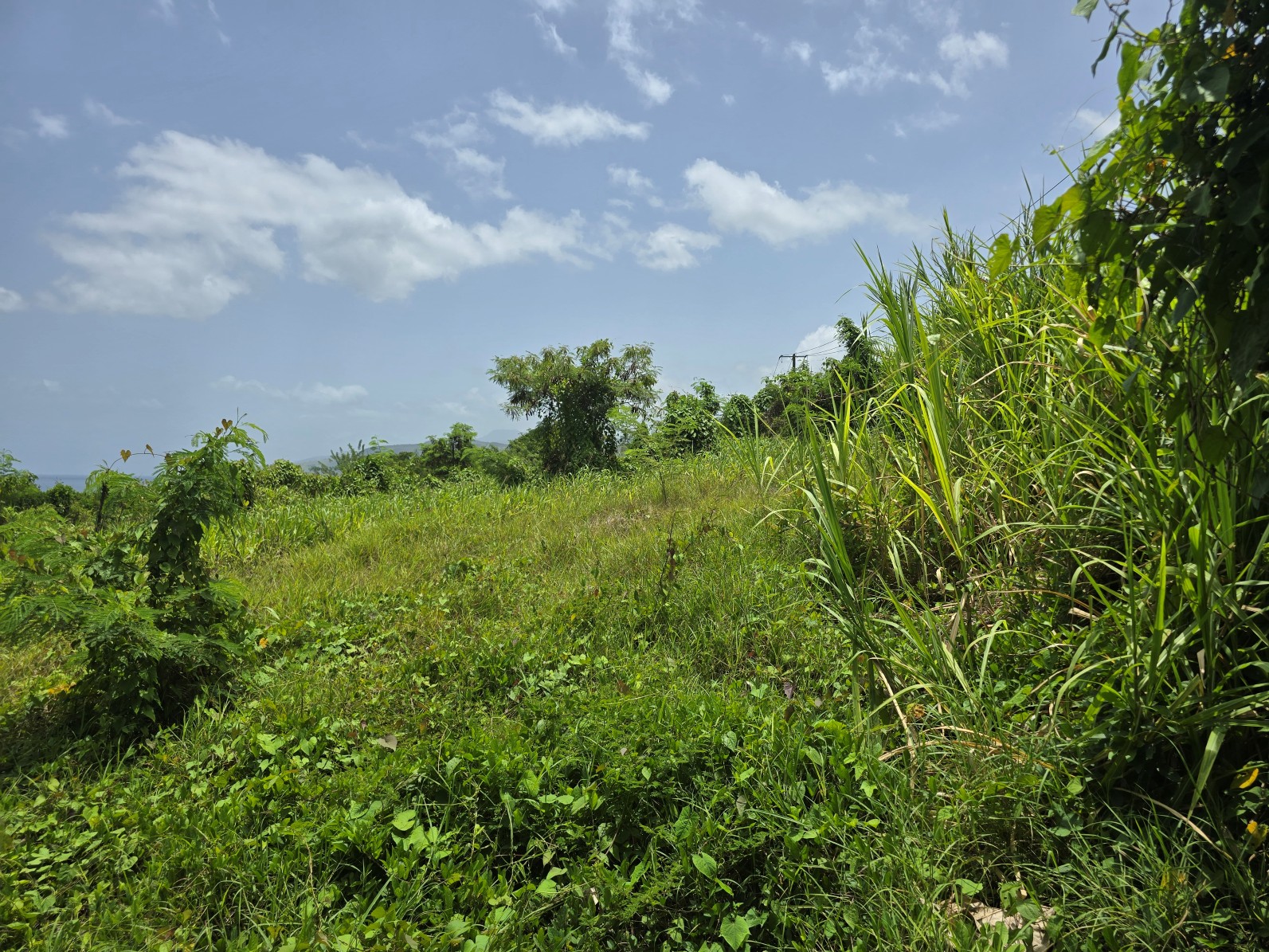59,683 sqft (1.37 acre) residential lot for sale in Morne Daniel, Dominica – inquire for price