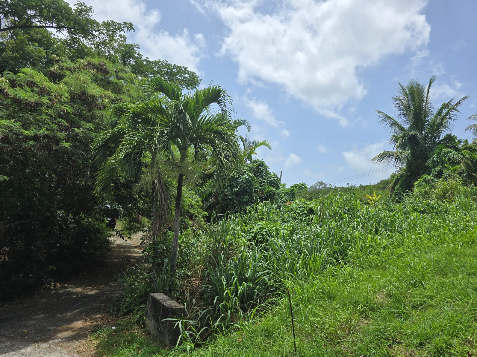 59,683 sqft (1.37 acre) residential lot for sale in Morne Daniel, Dominica – inquire for price