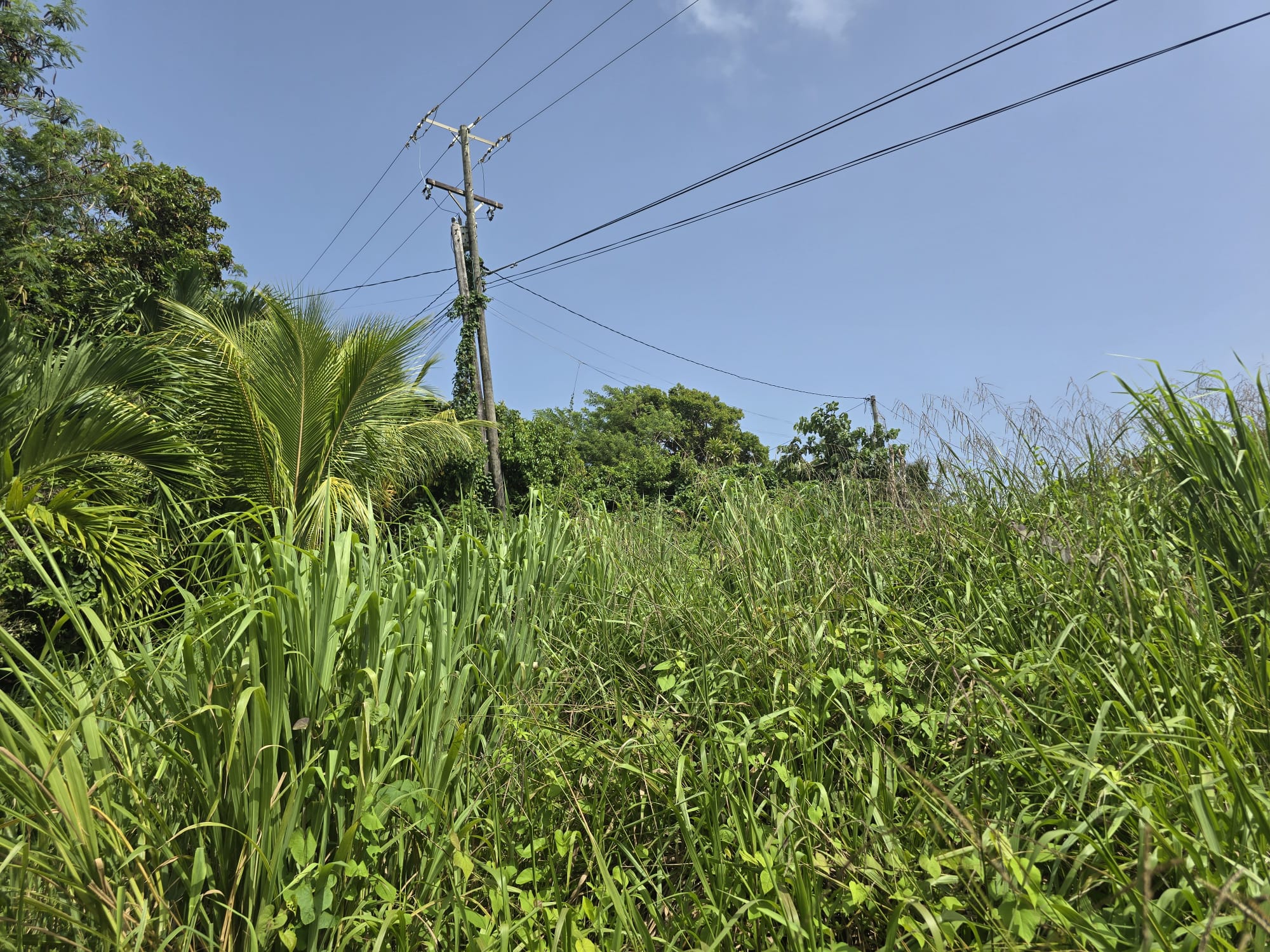 0.43 acre (18,730.8 sqft) residential lot for sale in Marigot, Dominica – EC$187,308 / US$70,153