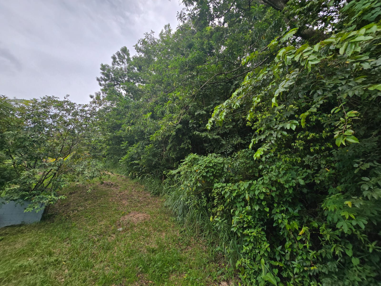 15,520sqft residential lot in Antrim, Dominica – EC$139,680 / US$52,315