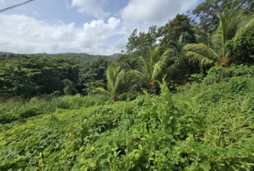 0.43 acre (18,730.8 sqft) residential lot for sale in Marigot, Dominica – EC$187,308 / US$70,153