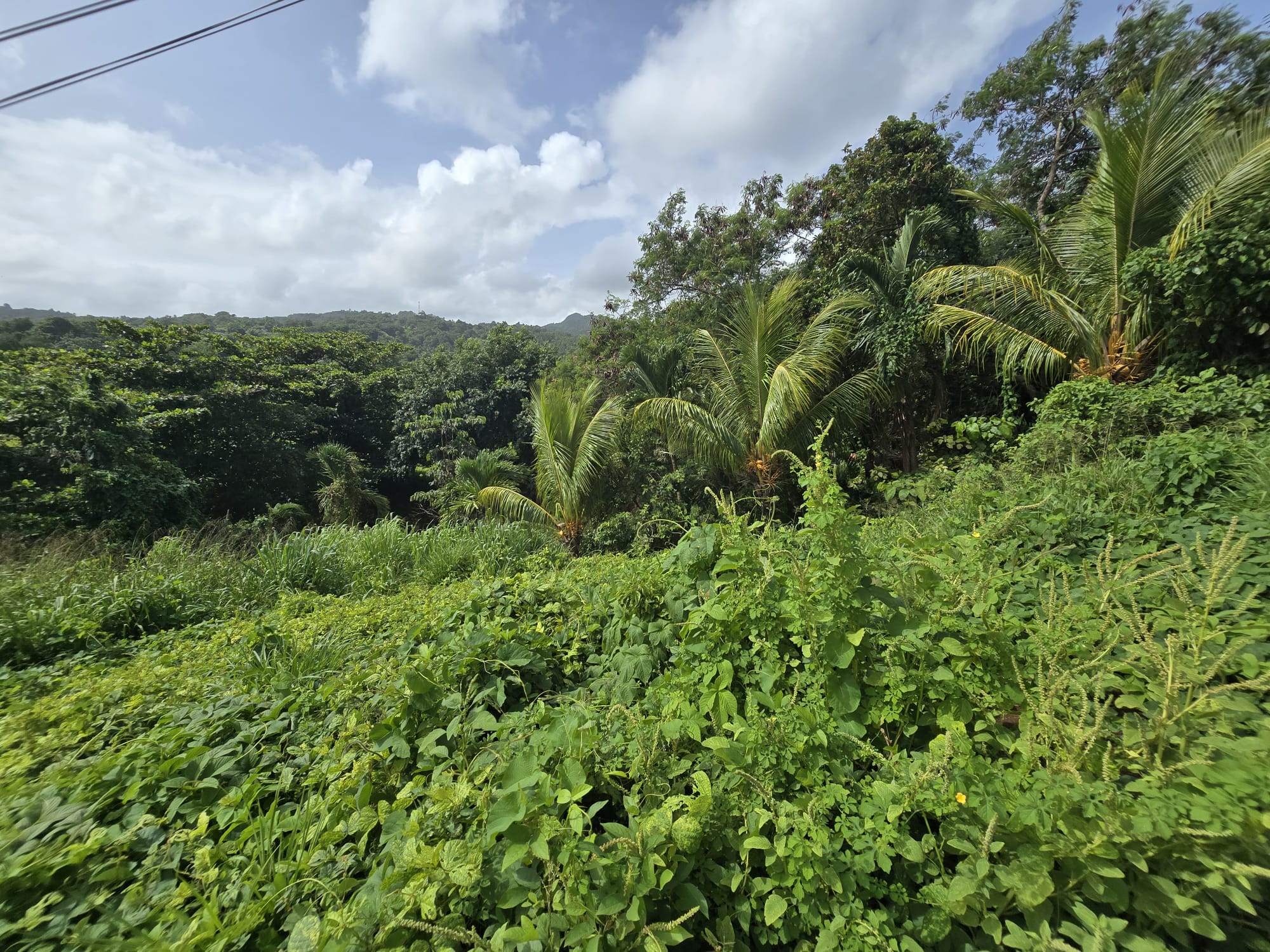 0.43 acre (18,730.8 sqft) residential lot for sale in Marigot, Dominica – EC$187,308 / US$70,153