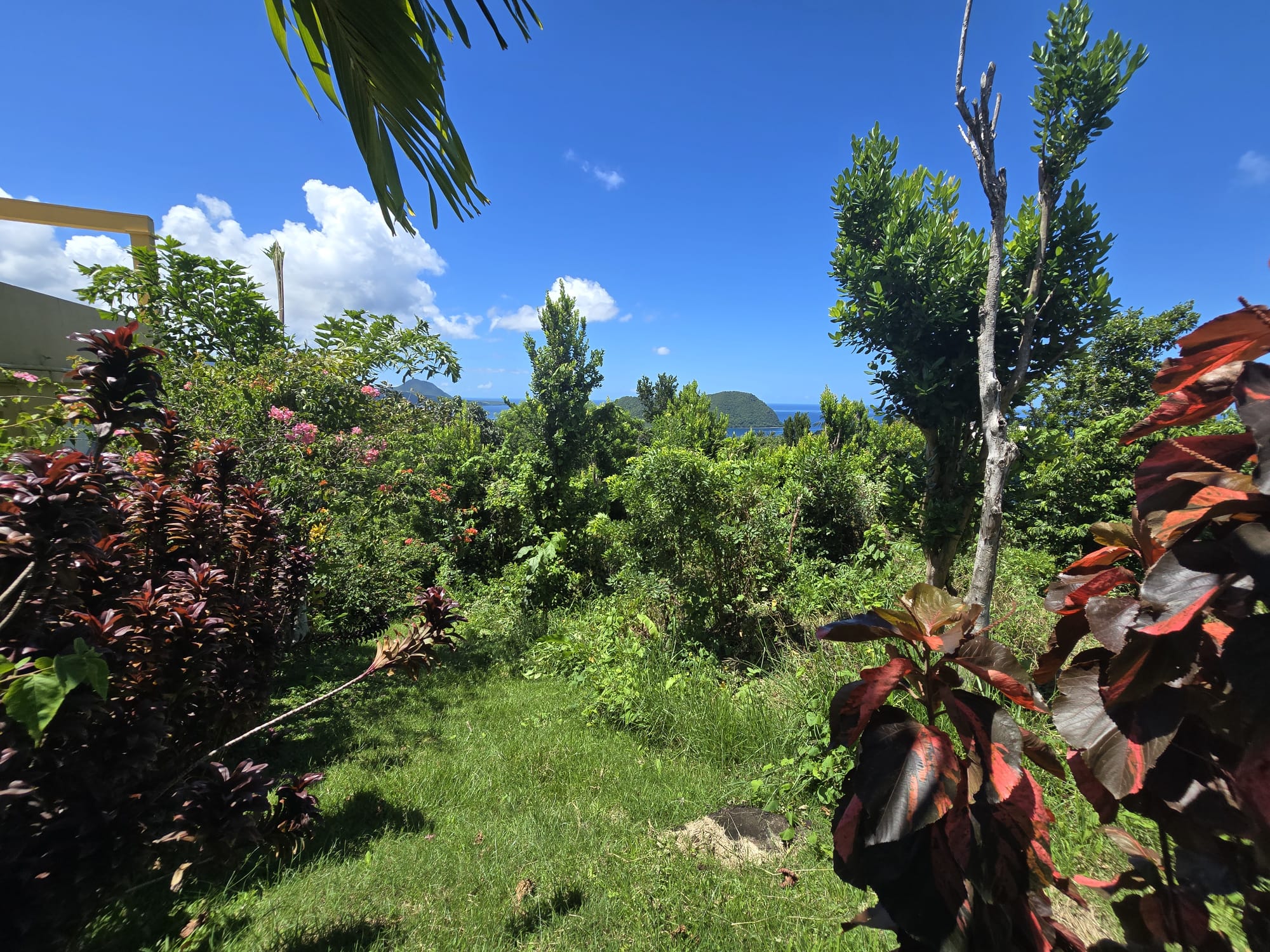 9000sqft  residential lot in Savanne Paille, Dominica  – EC$140,000 / US$52,434