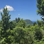 9000sqft  residential lot in Savanne Paille, Dominica  – EC$140,000 / US$52,434