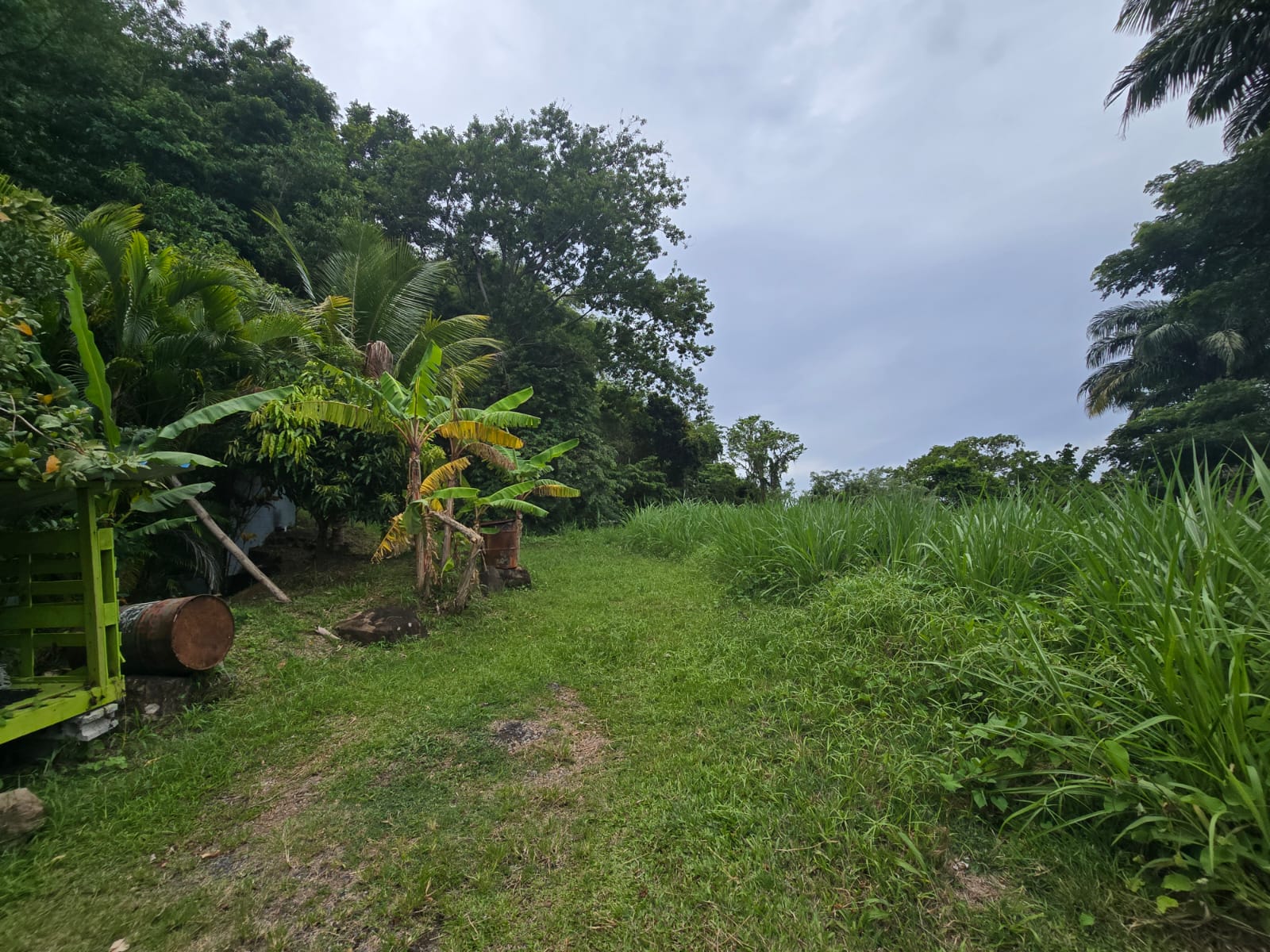 15,520sqft residential lot in Antrim, Dominica – EC$139,680 / US$52,315