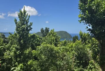 9000sqft  residential lot in Savanne Paille, Dominica  – EC$140,000 / US$52,434