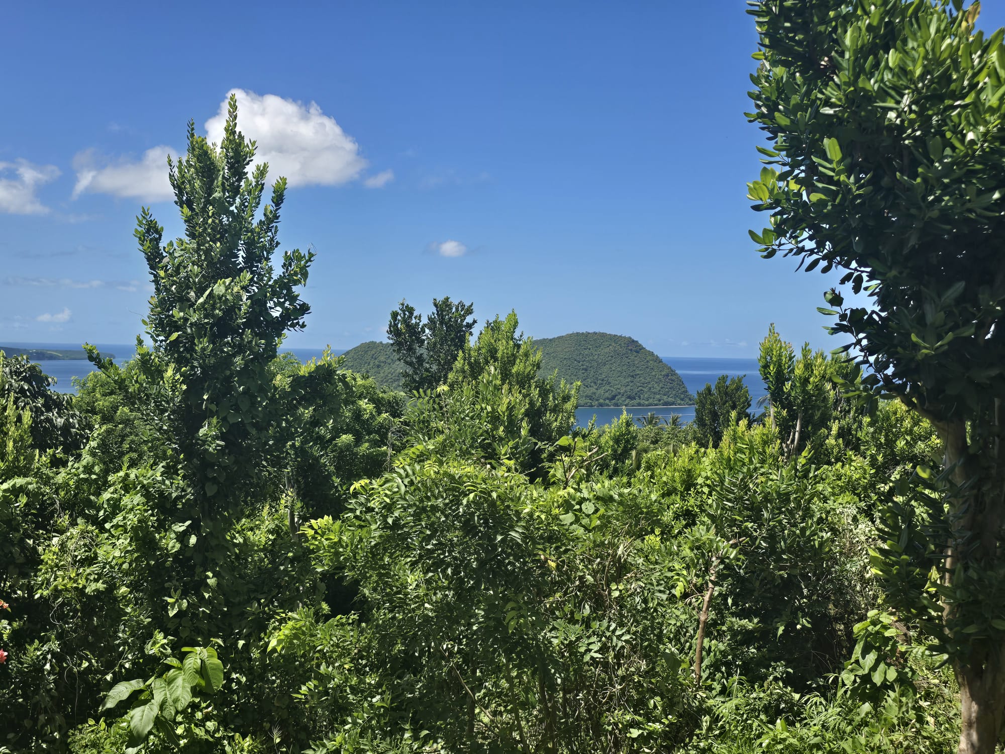 9000sqft  residential lot in Savanne Paille, Dominica  – EC$140,000 / US$52,434