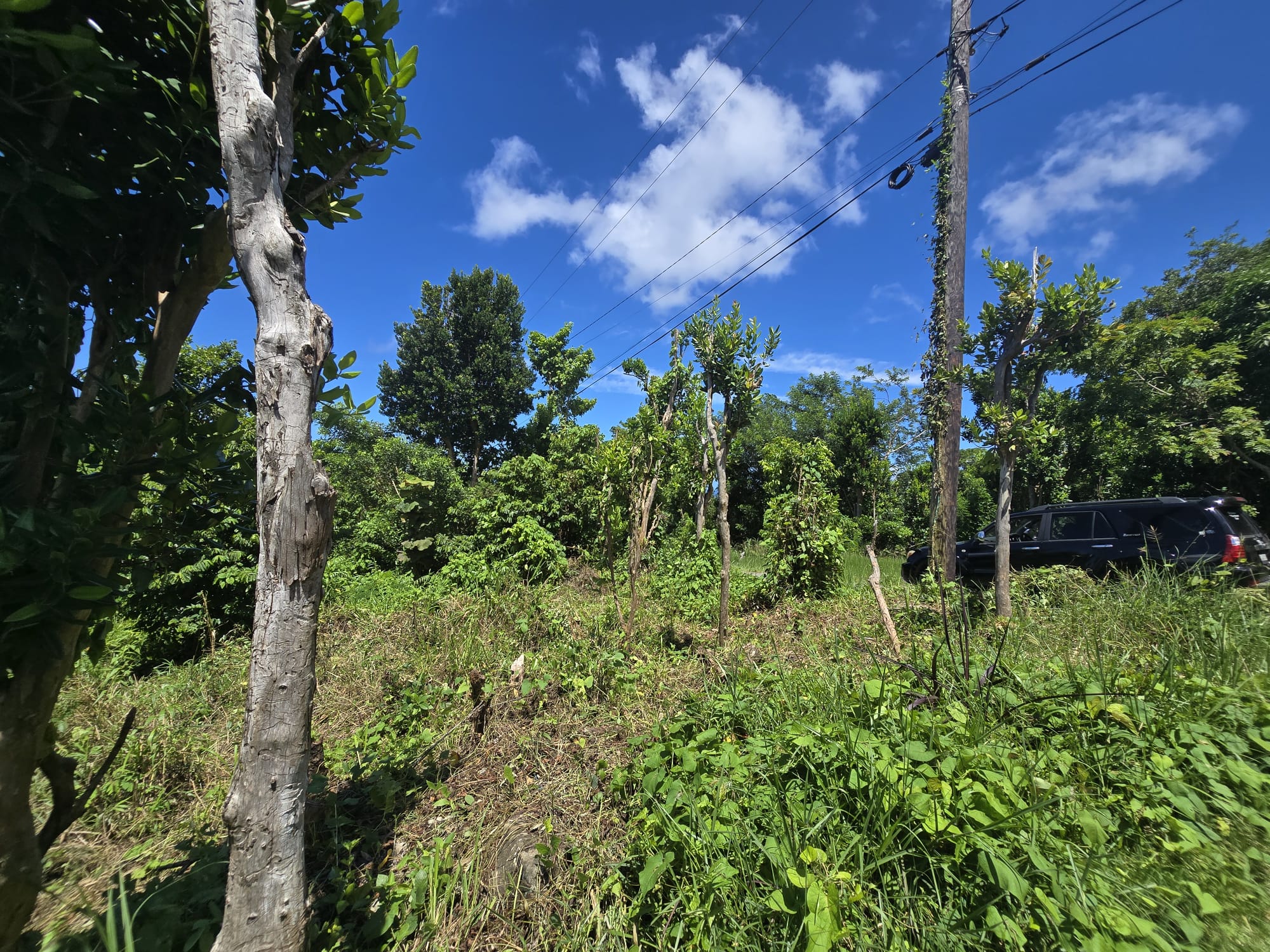 9000sqft  residential lot in Savanne Paille, Dominica  – EC$140,000 / US$52,434