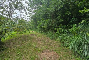 15,520sqft residential lot in Antrim, Dominica – EC$139,680 / US$52,315