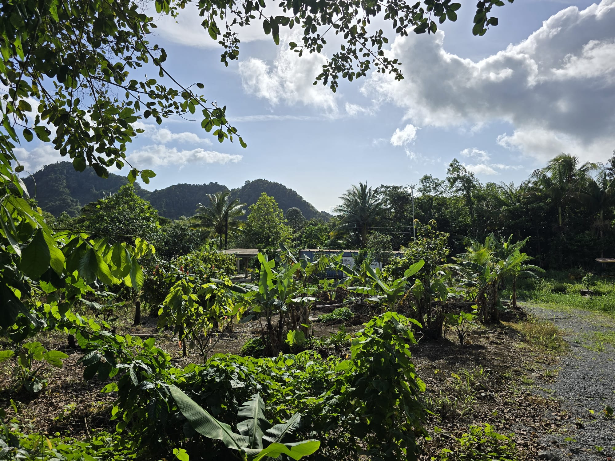 Commercial/agricultural property for sale in Sultan, Dominica -EC$3.5Million / US$1.3Million