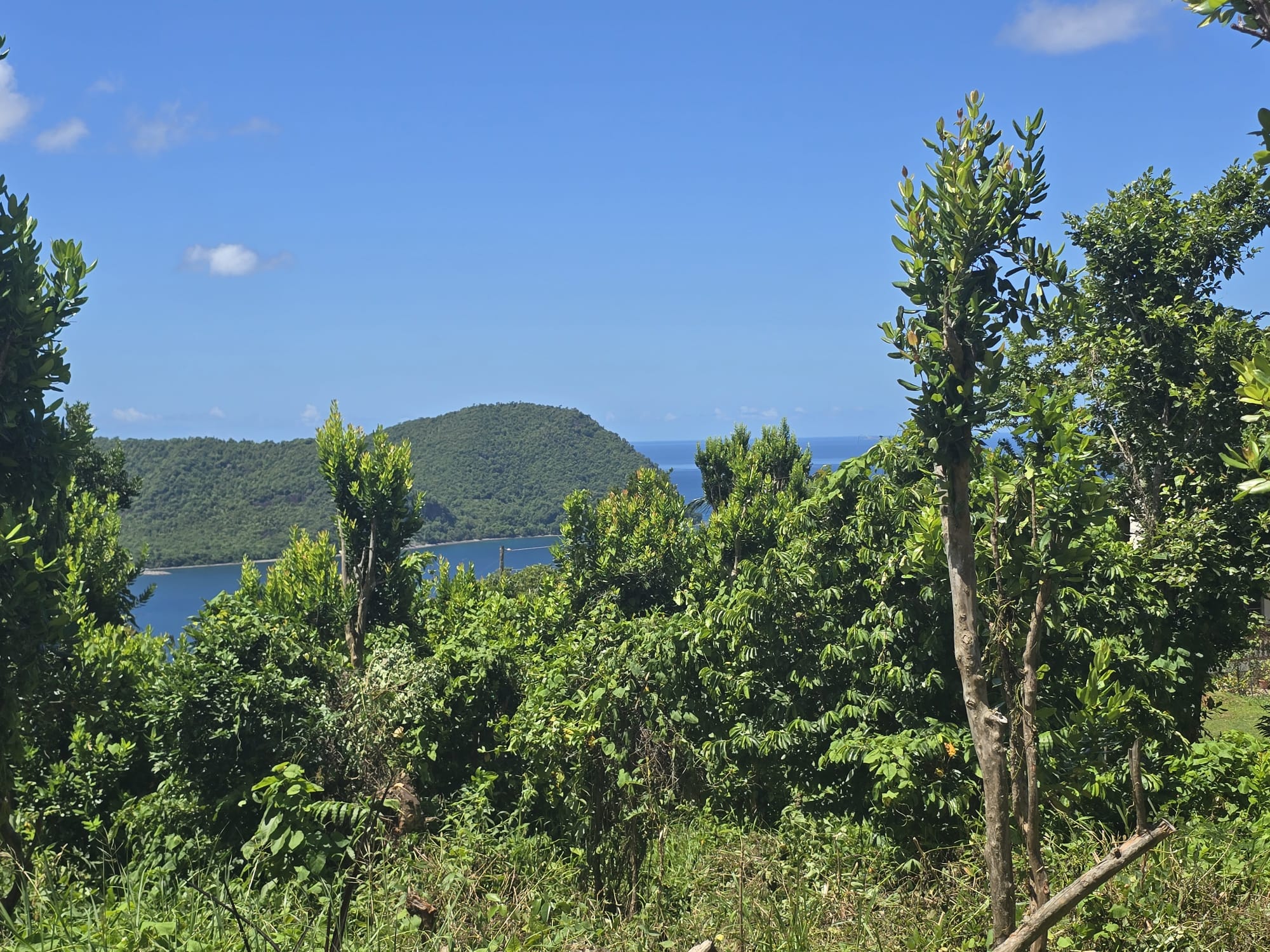 9000sqft  residential lot in Savanne Paille, Dominica  – EC$140,000 / US$52,434