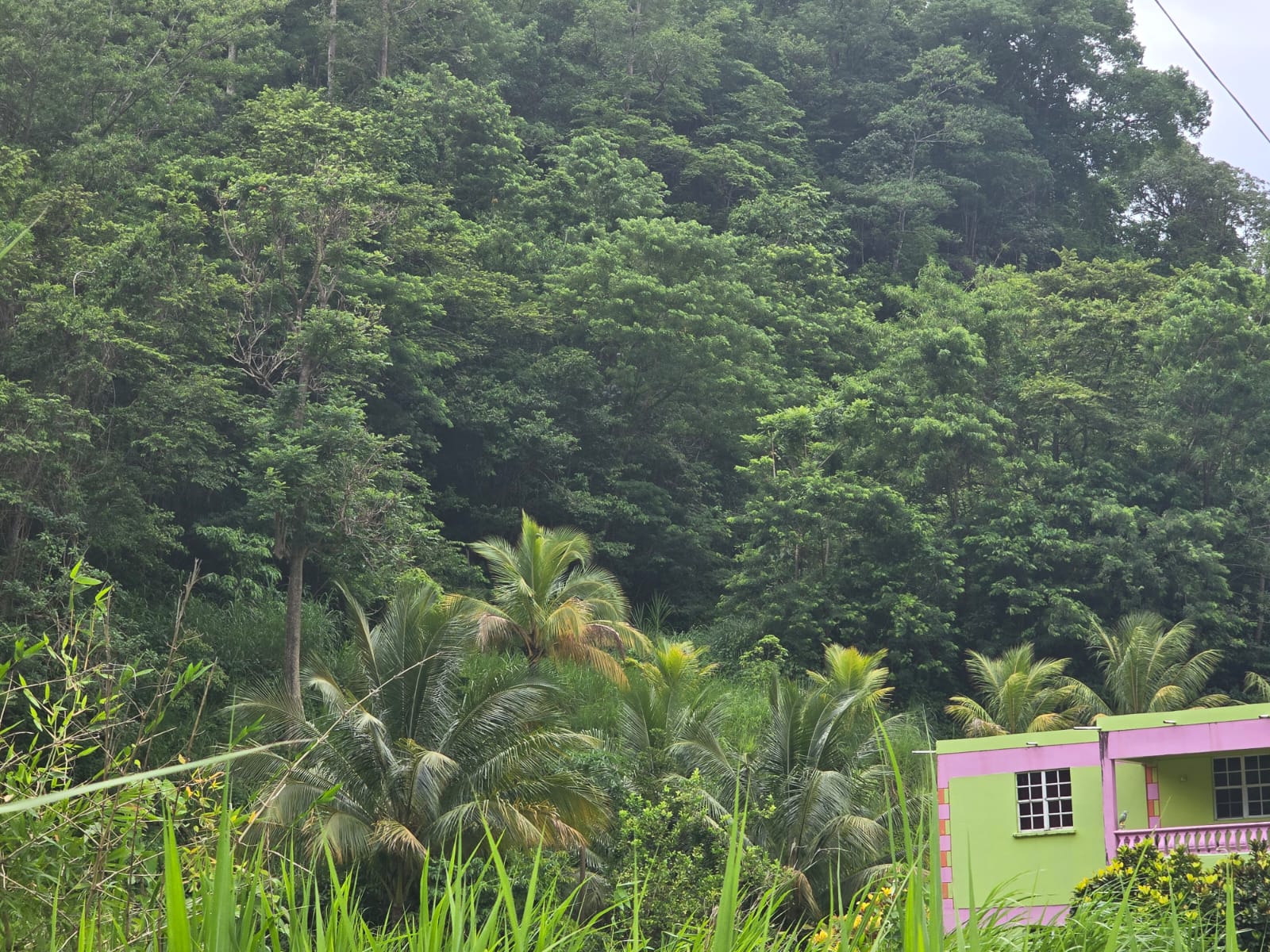 15,520sqft residential lot in Antrim, Dominica – EC$139,680 / US$52,315