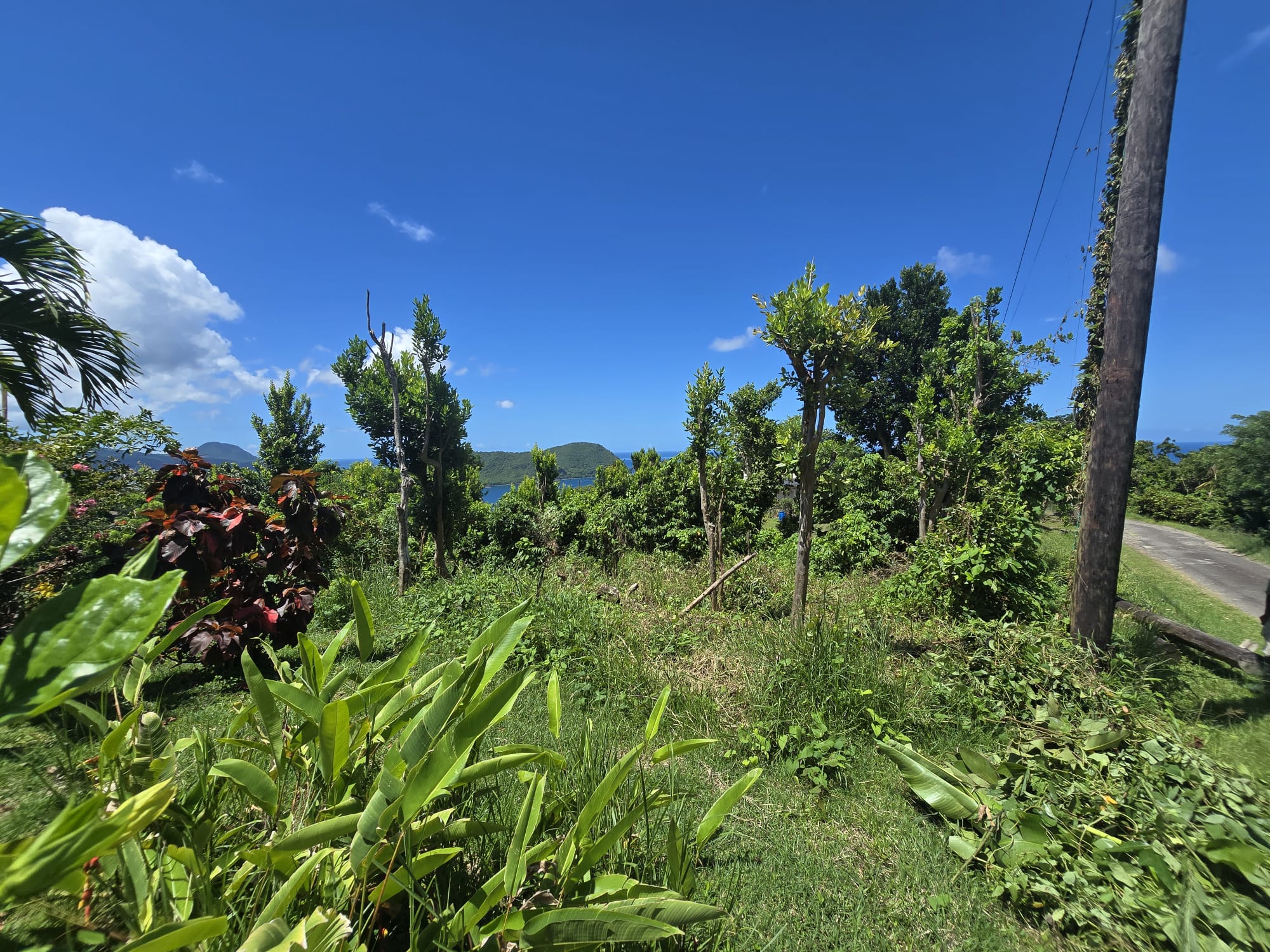 9000sqft  residential lot in Savanne Paille, Dominica  – EC$140,000 / US$52,434