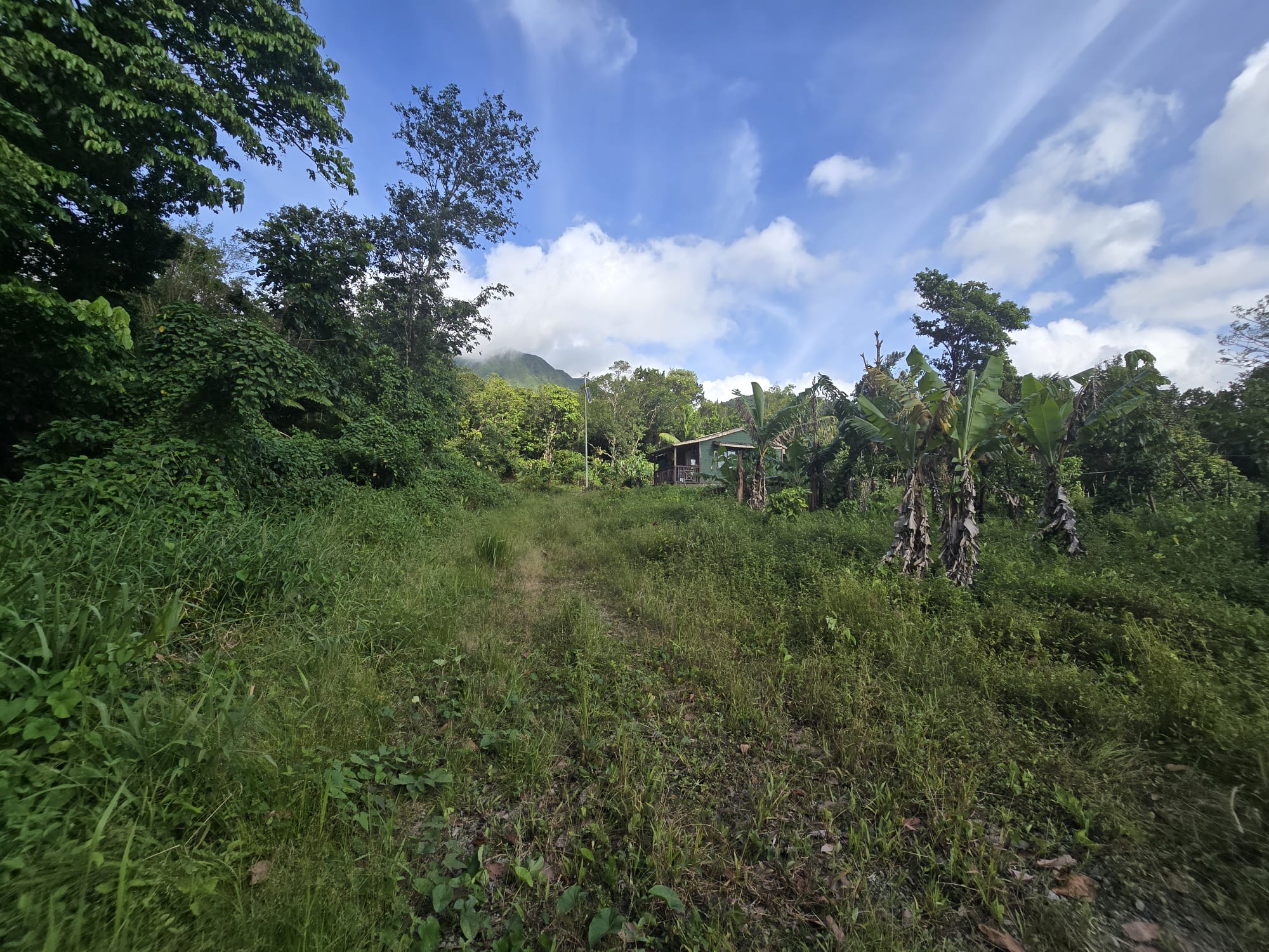 Commercial/agricultural property for sale in Sultan, Dominica -EC$3.5Million / US$1.3Million