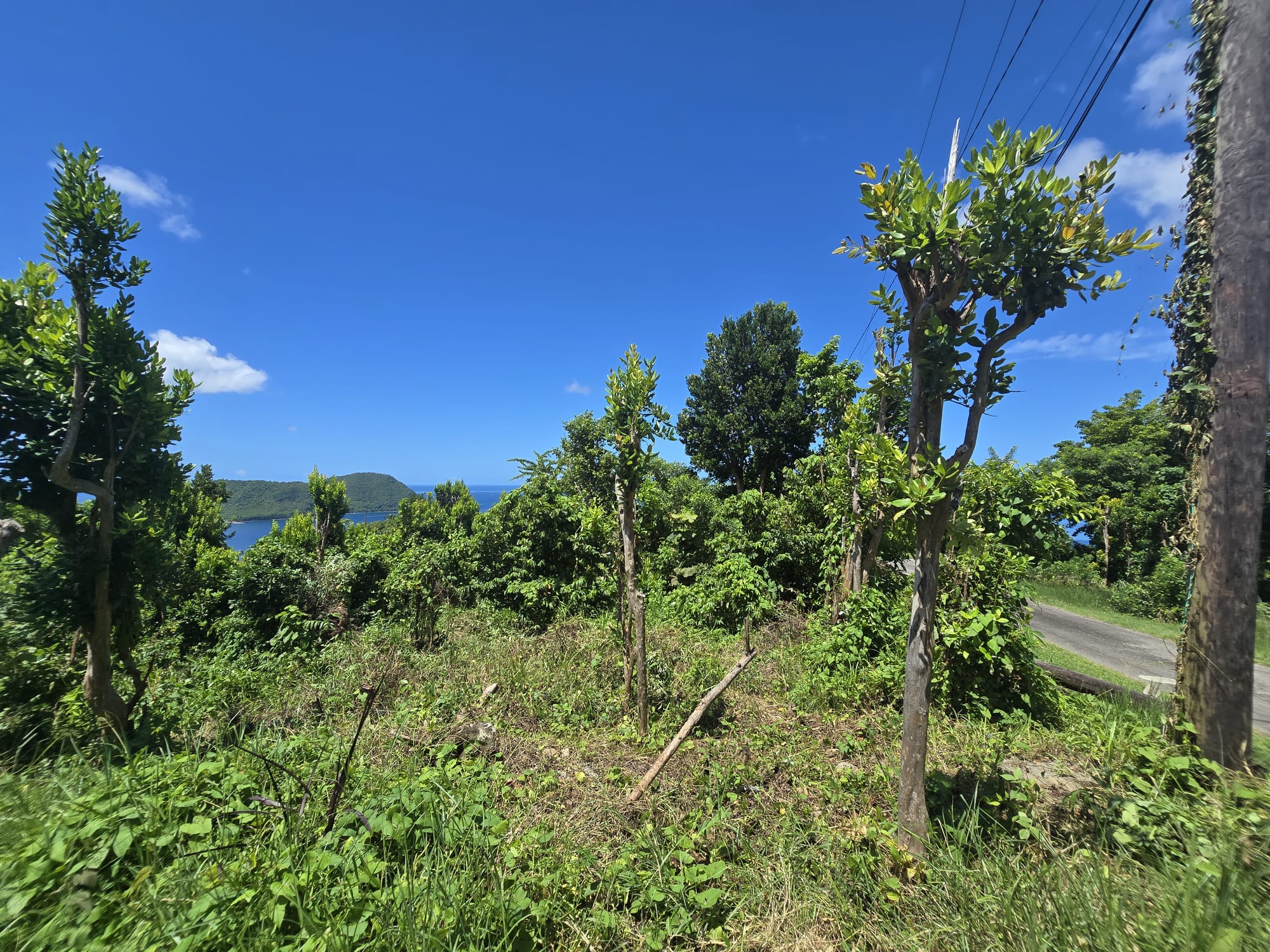 9000sqft  residential lot in Savanne Paille, Dominica  – EC$140,000 / US$52,434