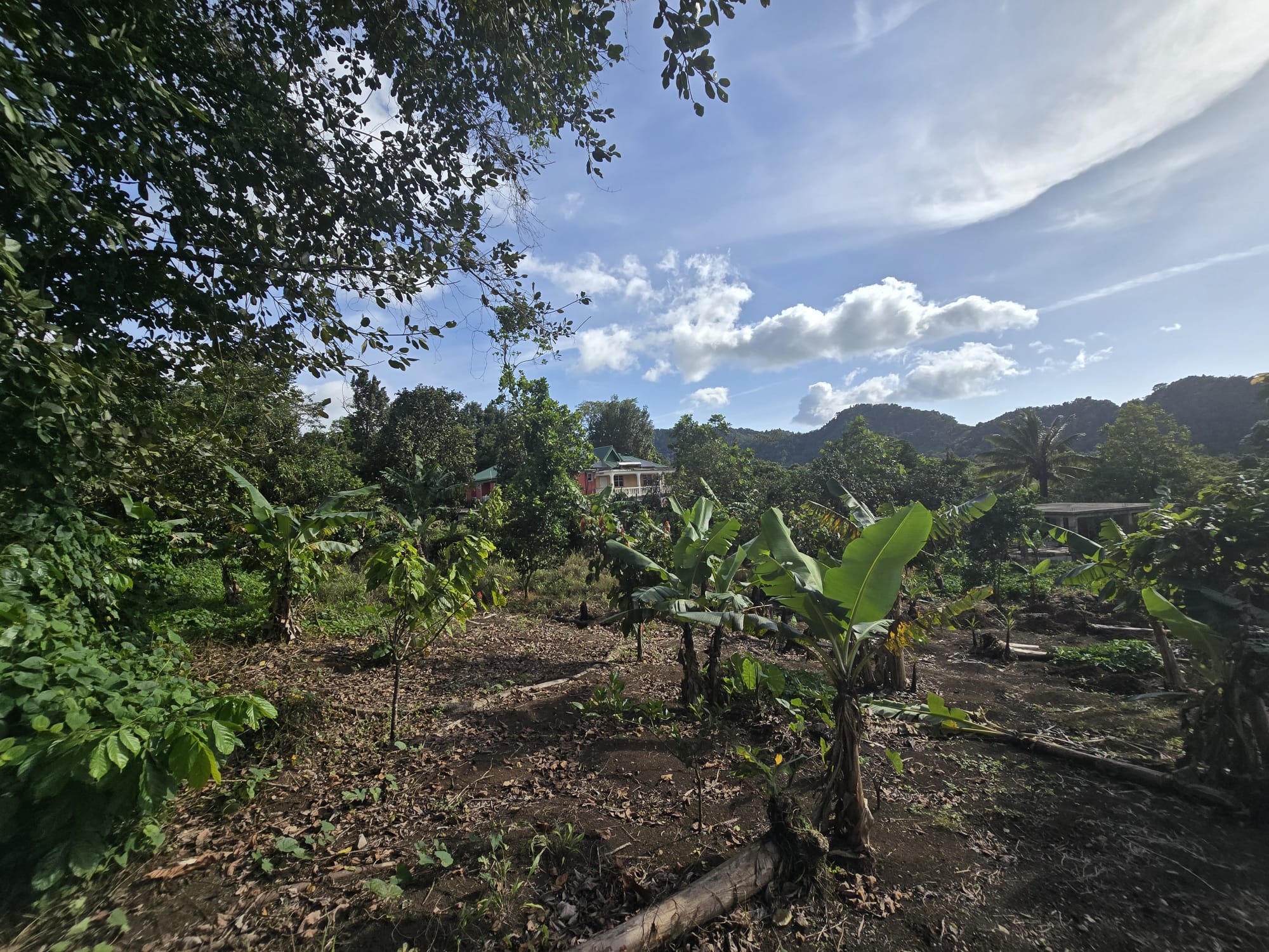 Commercial/agricultural property for sale in Sultan, Dominica -EC$3.5Million / US$1.3Million