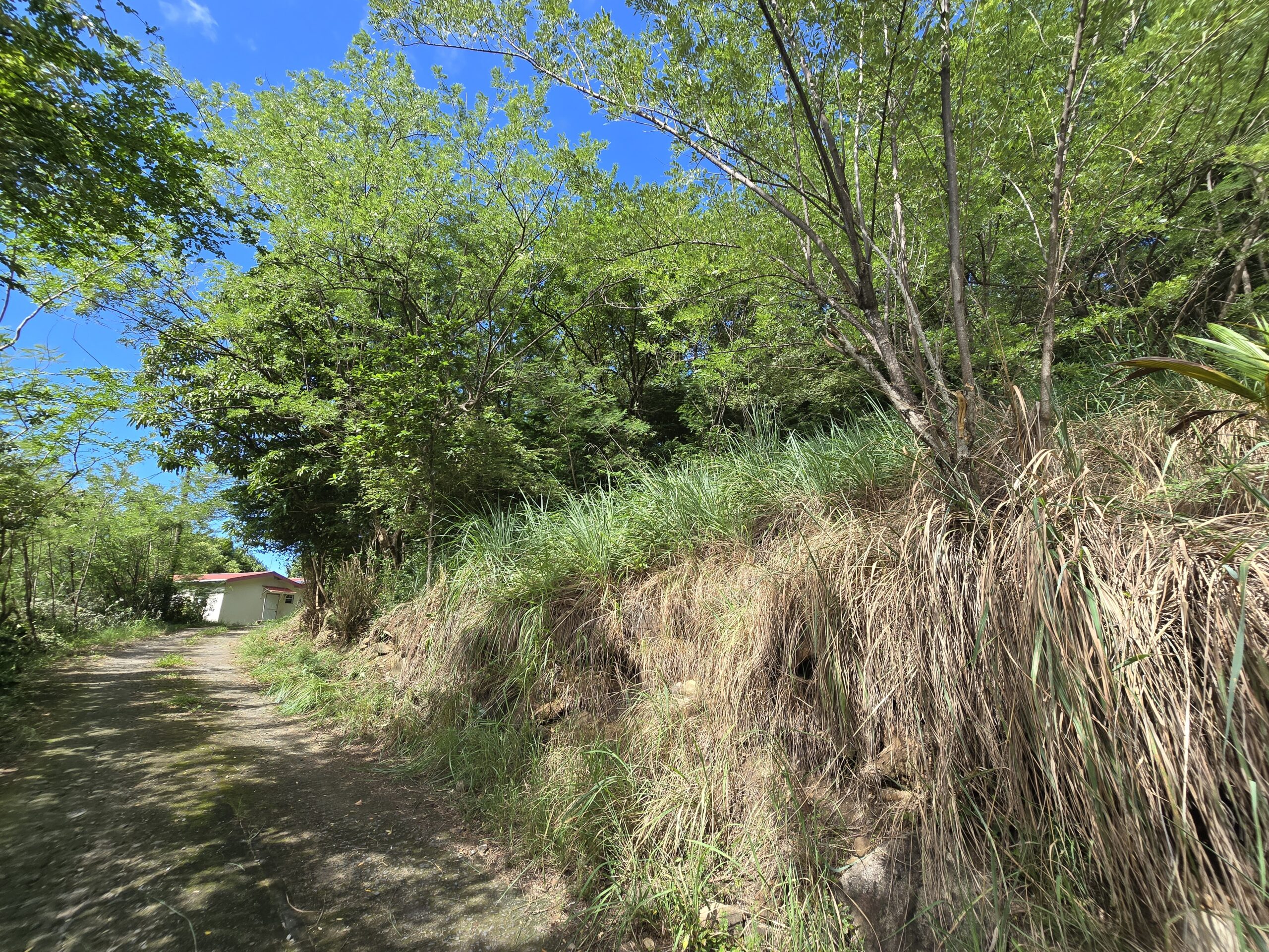11,566 sqft residential lot for sale in Massacre, Dominica – EC$92,528 / US$34,654