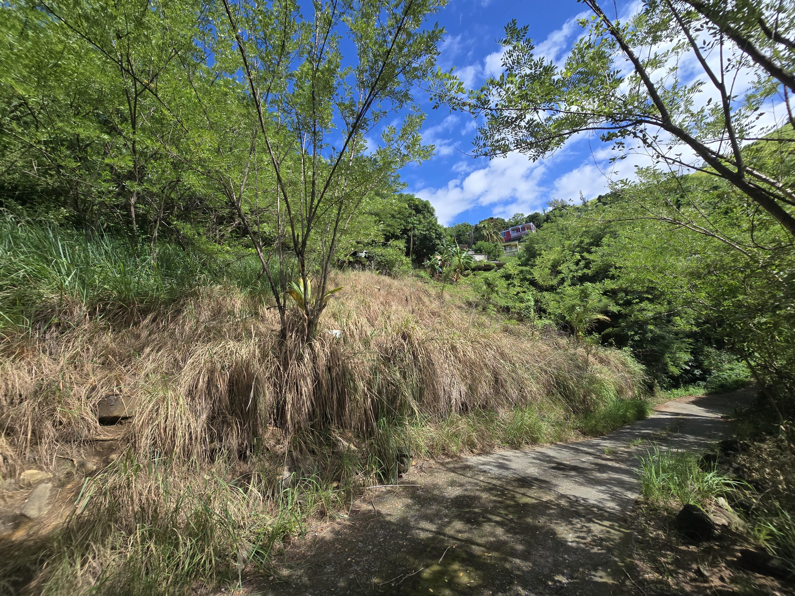 11,566 sqft residential lot for sale in Massacre, Dominica – EC$92,528 / US$34,654
