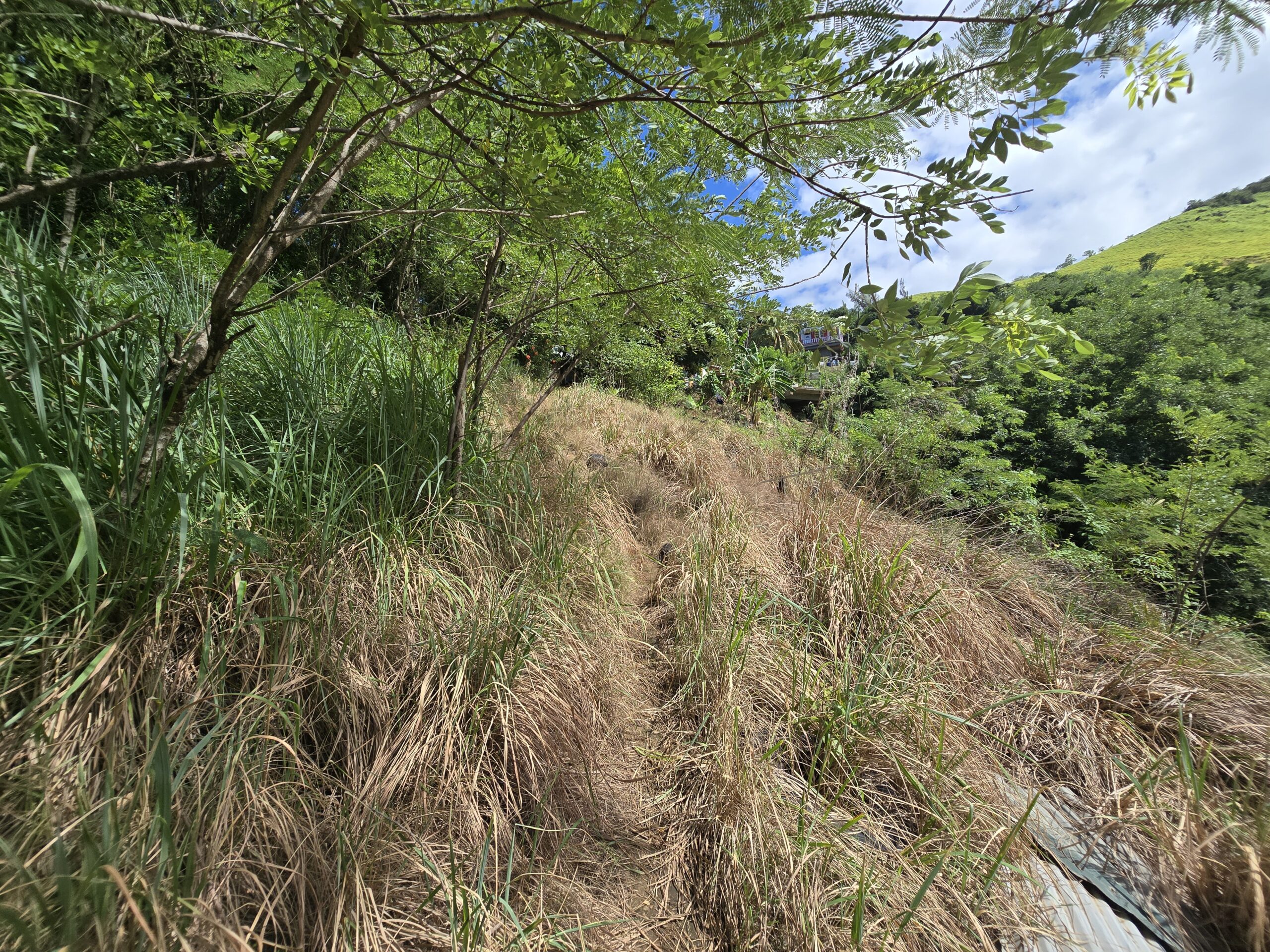 11,566 sqft residential lot for sale in Massacre, Dominica – EC$92,528 / US$34,654