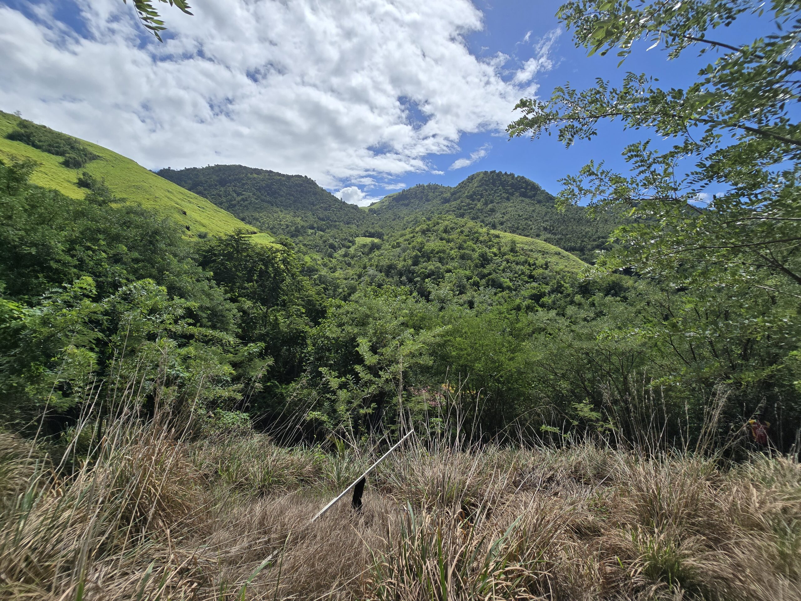 11,566 sqft residential lot for sale in Massacre, Dominica – EC$92,528 / US$34,654