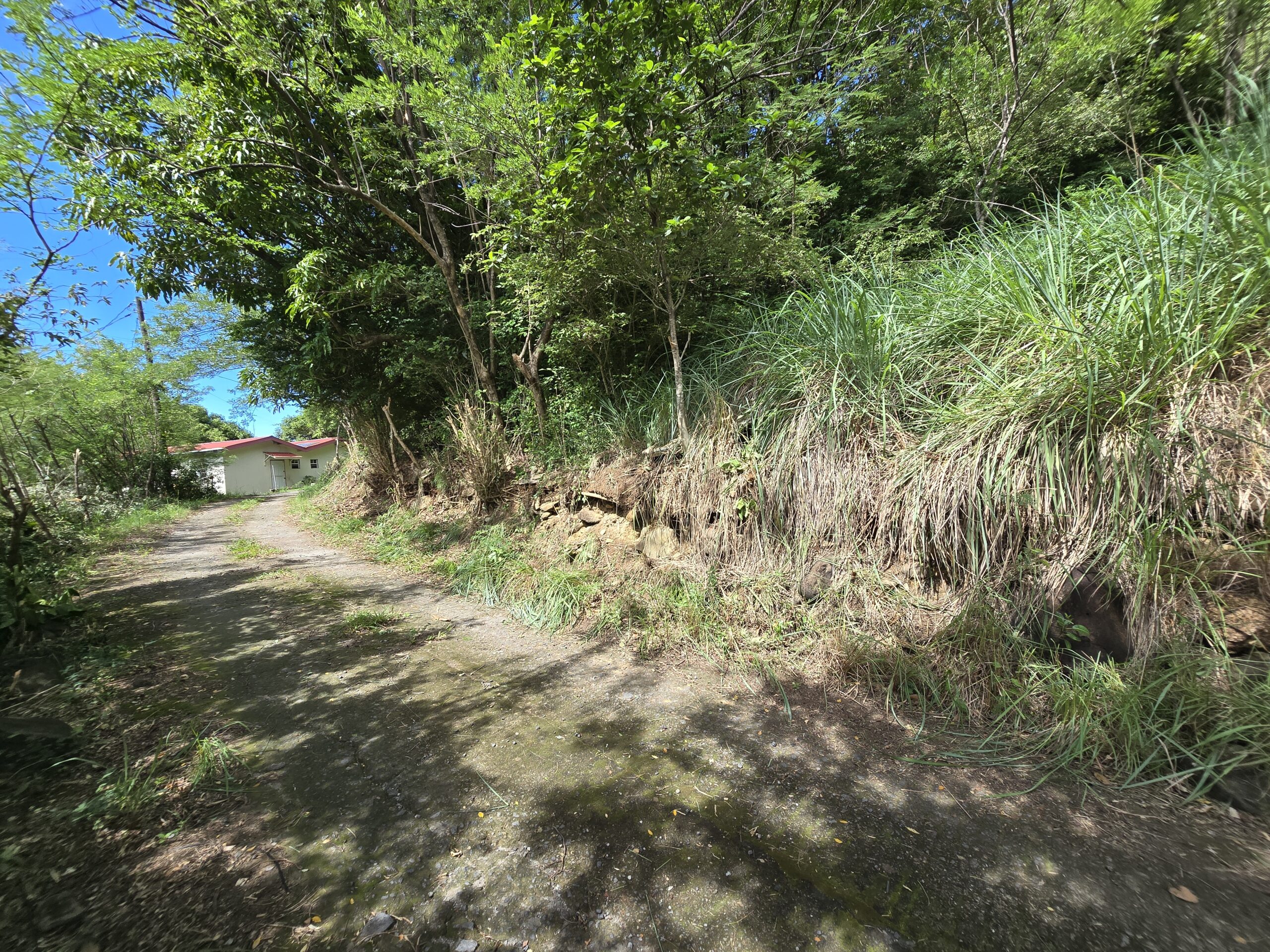 11,566 sqft residential lot for sale in Massacre, Dominica – EC$92,528 / US$34,654
