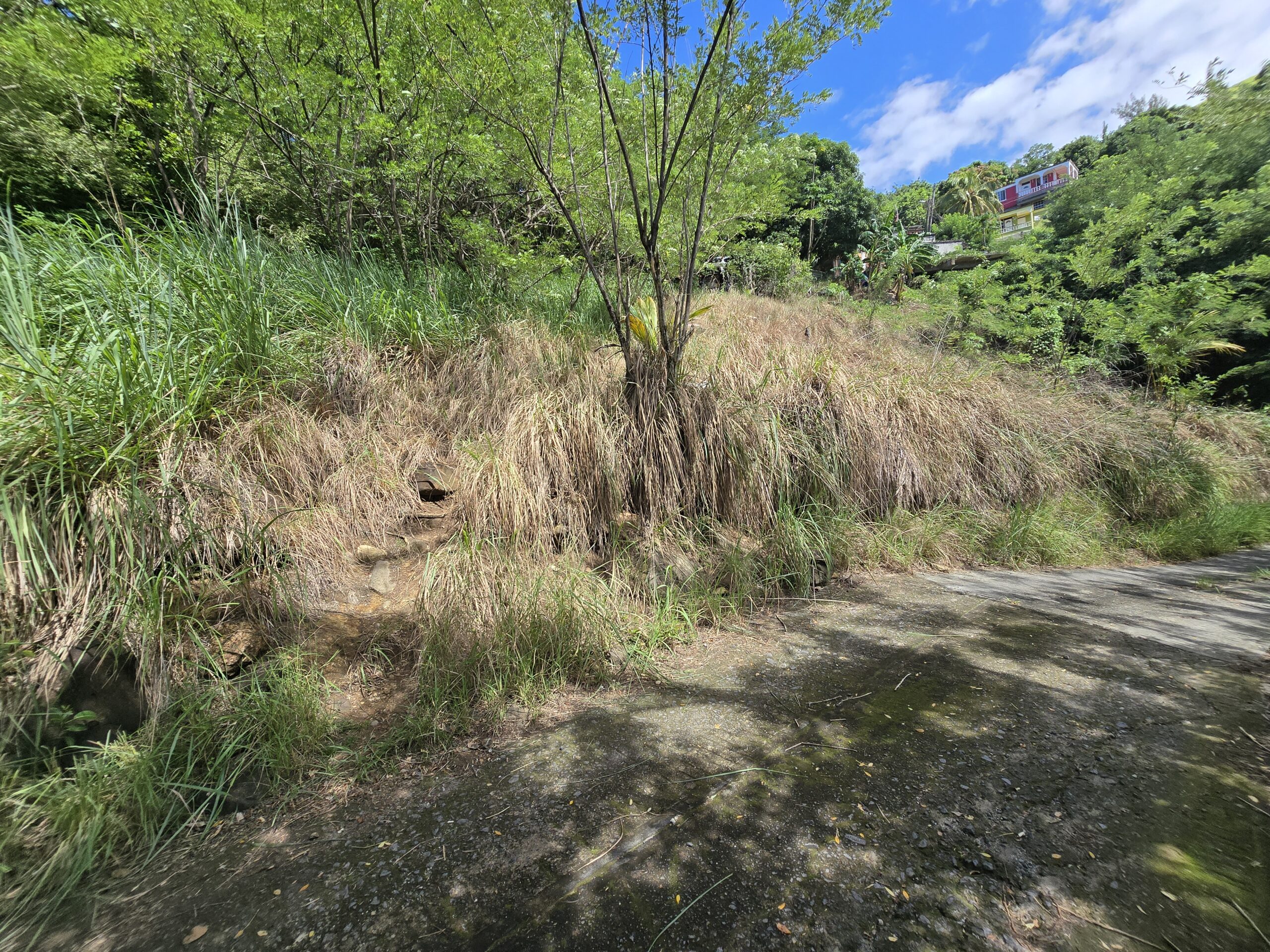 11,566 sqft residential lot for sale in Massacre, Dominica – EC$92,528 / US$34,654