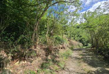 11,566 sqft residential lot for sale in Massacre, Dominica – EC$92,528 / US$34,654