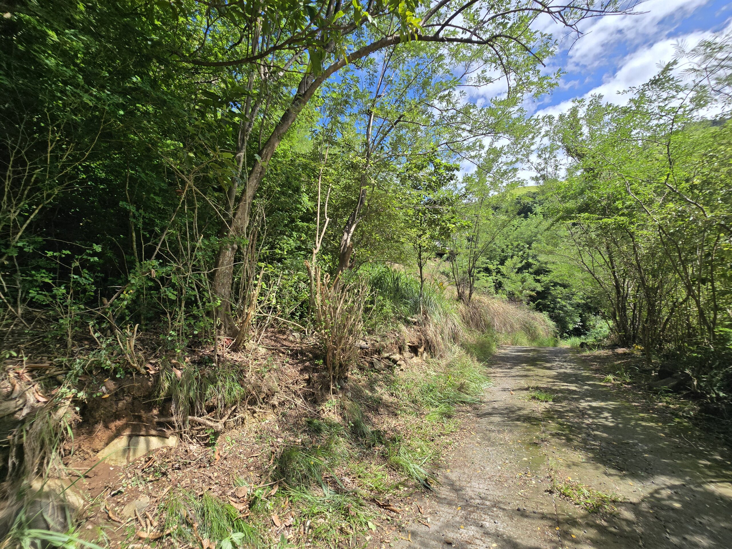 11,566 sqft residential lot for sale in Massacre, Dominica – EC$92,528 / US$34,654