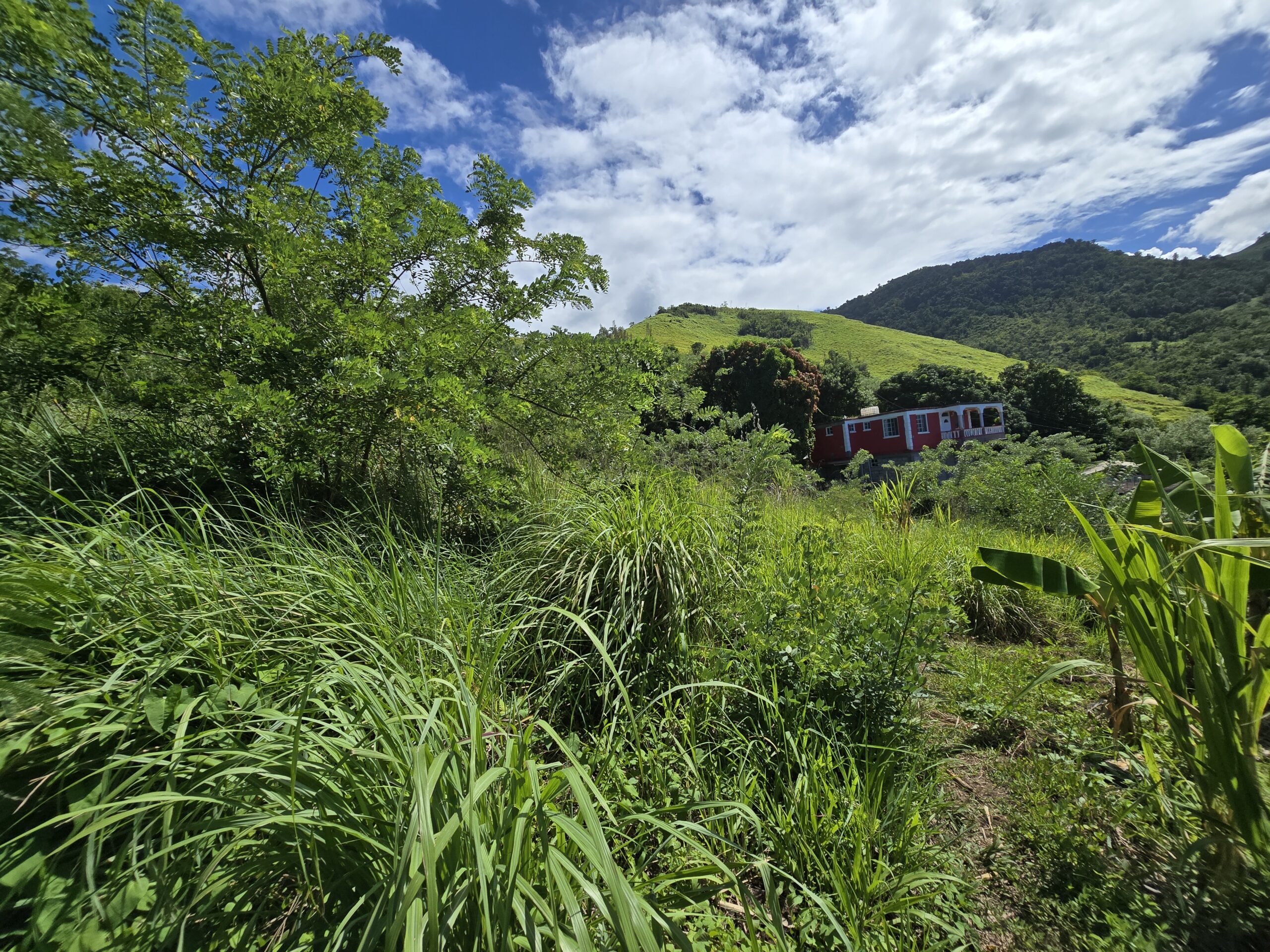 11,566 sqft residential lot for sale in Massacre, Dominica – EC$92,528 / US$34,654