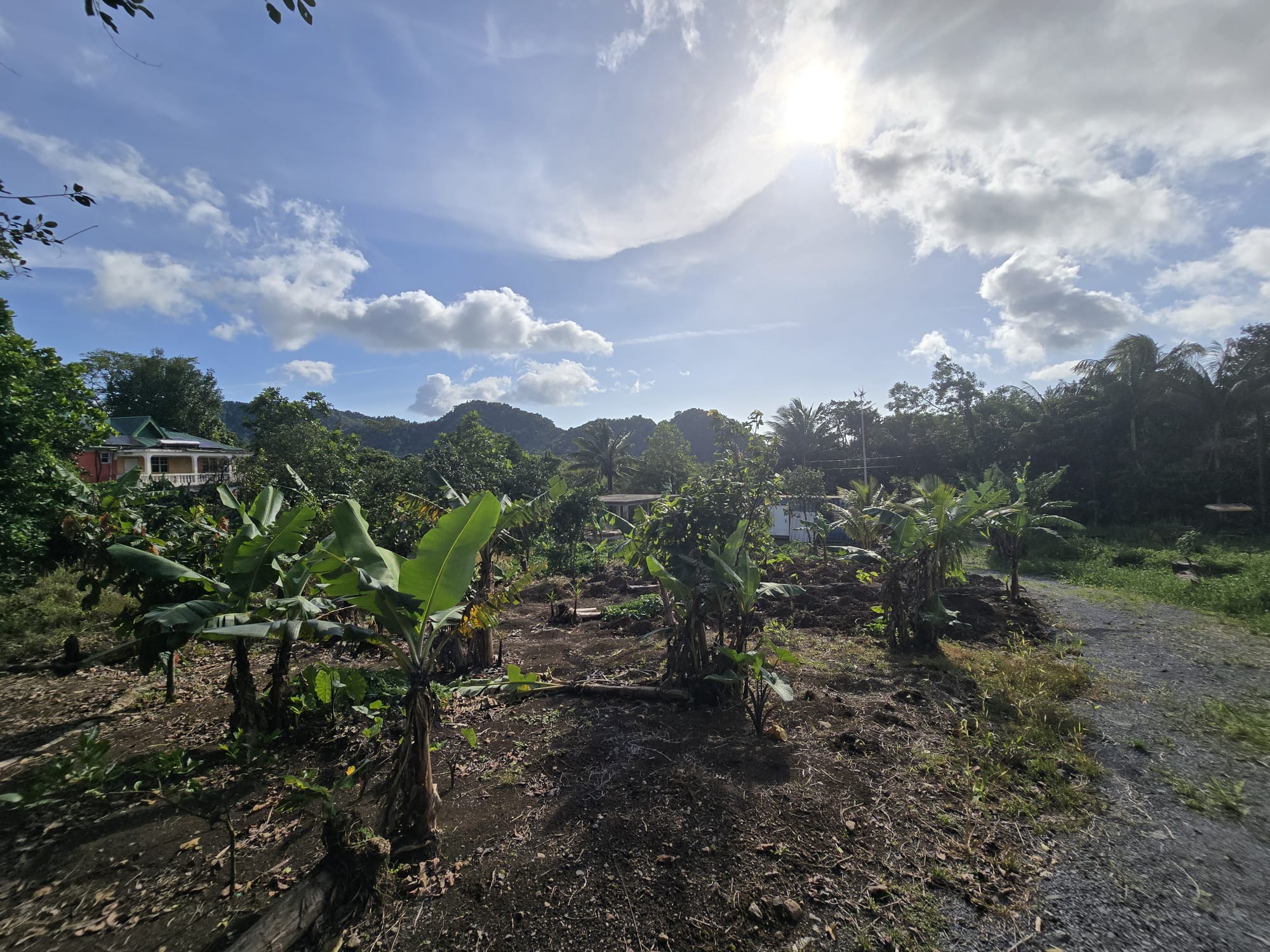 Commercial/agricultural property for sale in Sultan, Dominica -EC$3.5Million / US$1.3Million