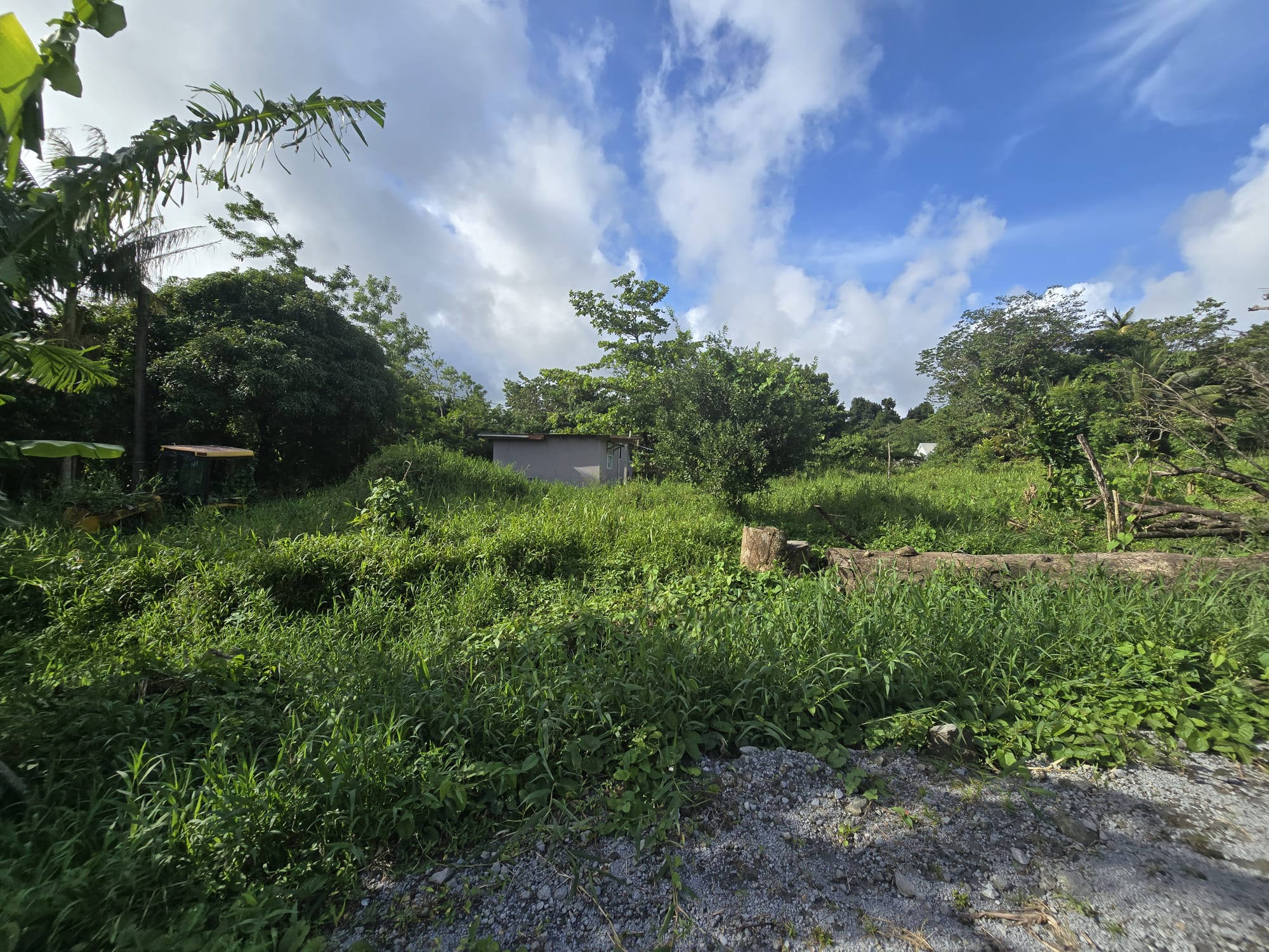 Commercial/agricultural property for sale in Sultan, Dominica -EC$3.5Million / US$1.3Million