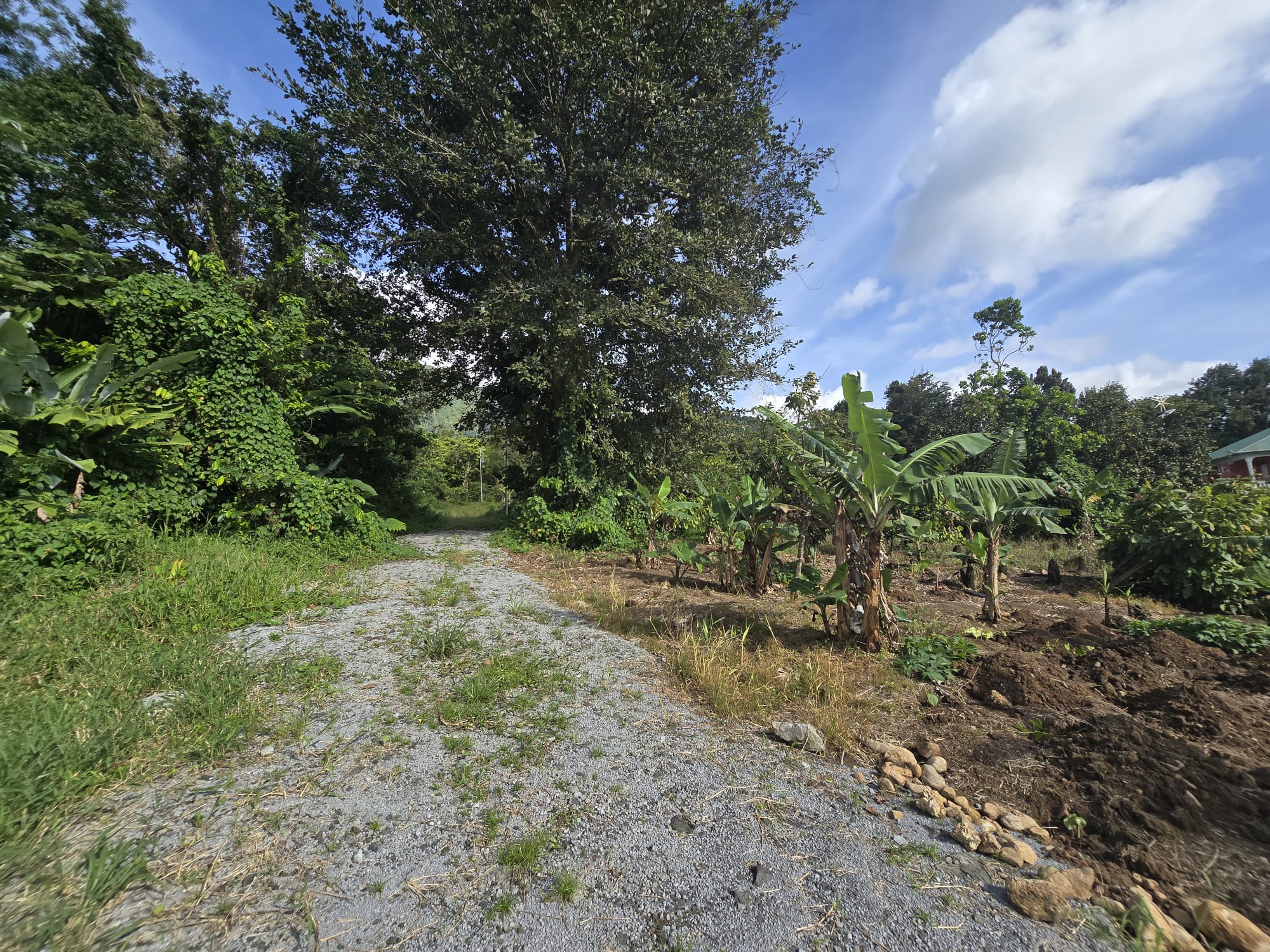 Commercial/agricultural property for sale in Sultan, Dominica -EC$3.5Million / US$1.3Million