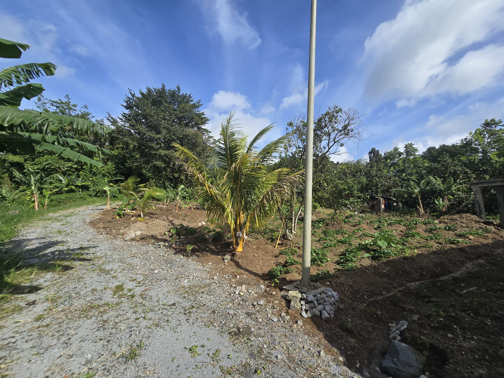 Commercial/agricultural property for sale in Sultan, Dominica -EC$3.5Million / US$1.3Million
