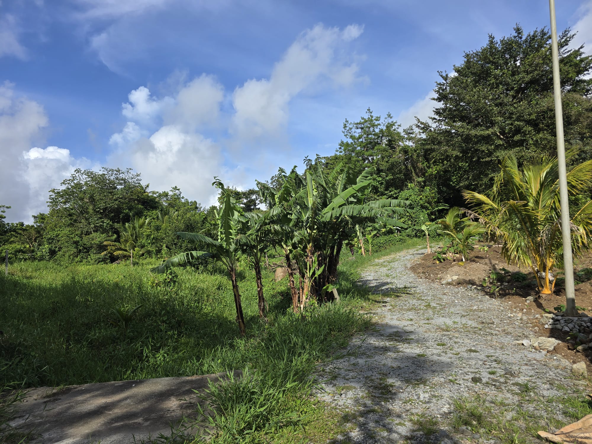 Commercial/agricultural property for sale in Sultan, Dominica -EC$3.5Million / US$1.3Million