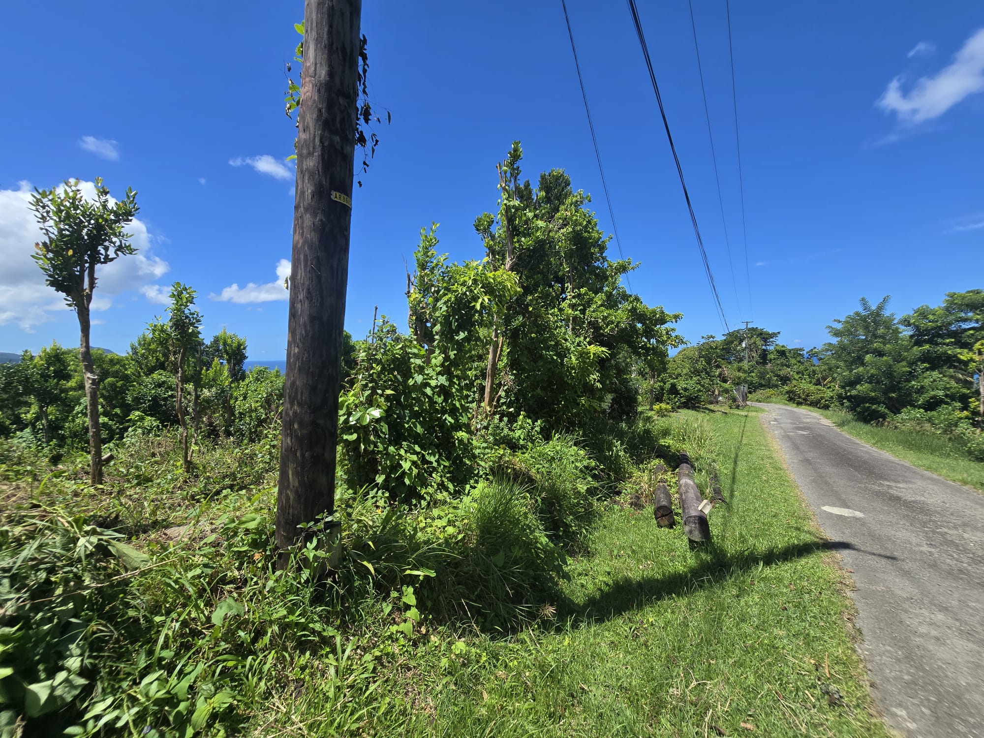 9000sqft  residential lot in Savanne Paille, Dominica  – EC$140,000 / US$52,434