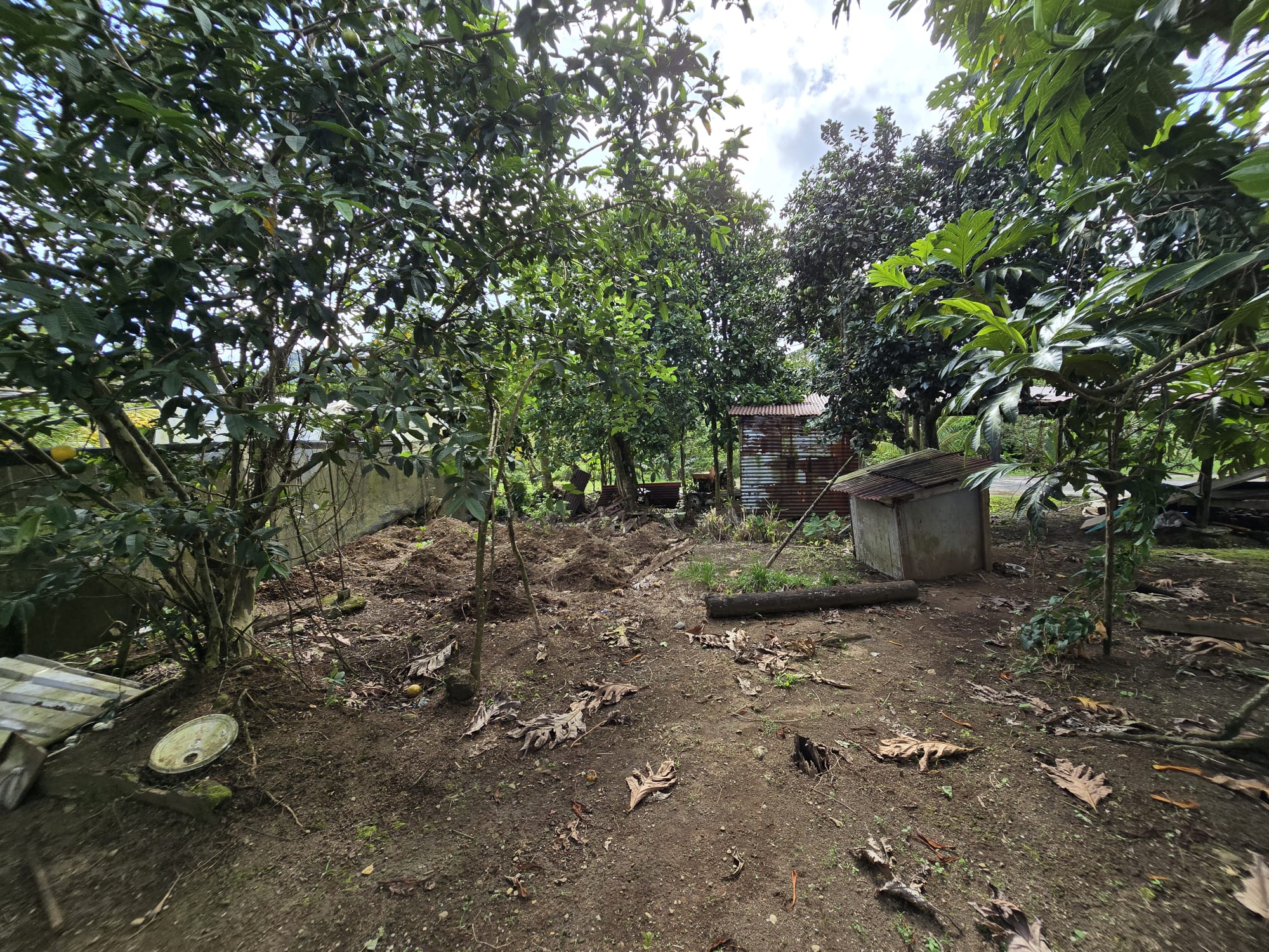 Commercial/agricultural property for sale in Sultan, Dominica -EC$3.5Million / US$1.3Million