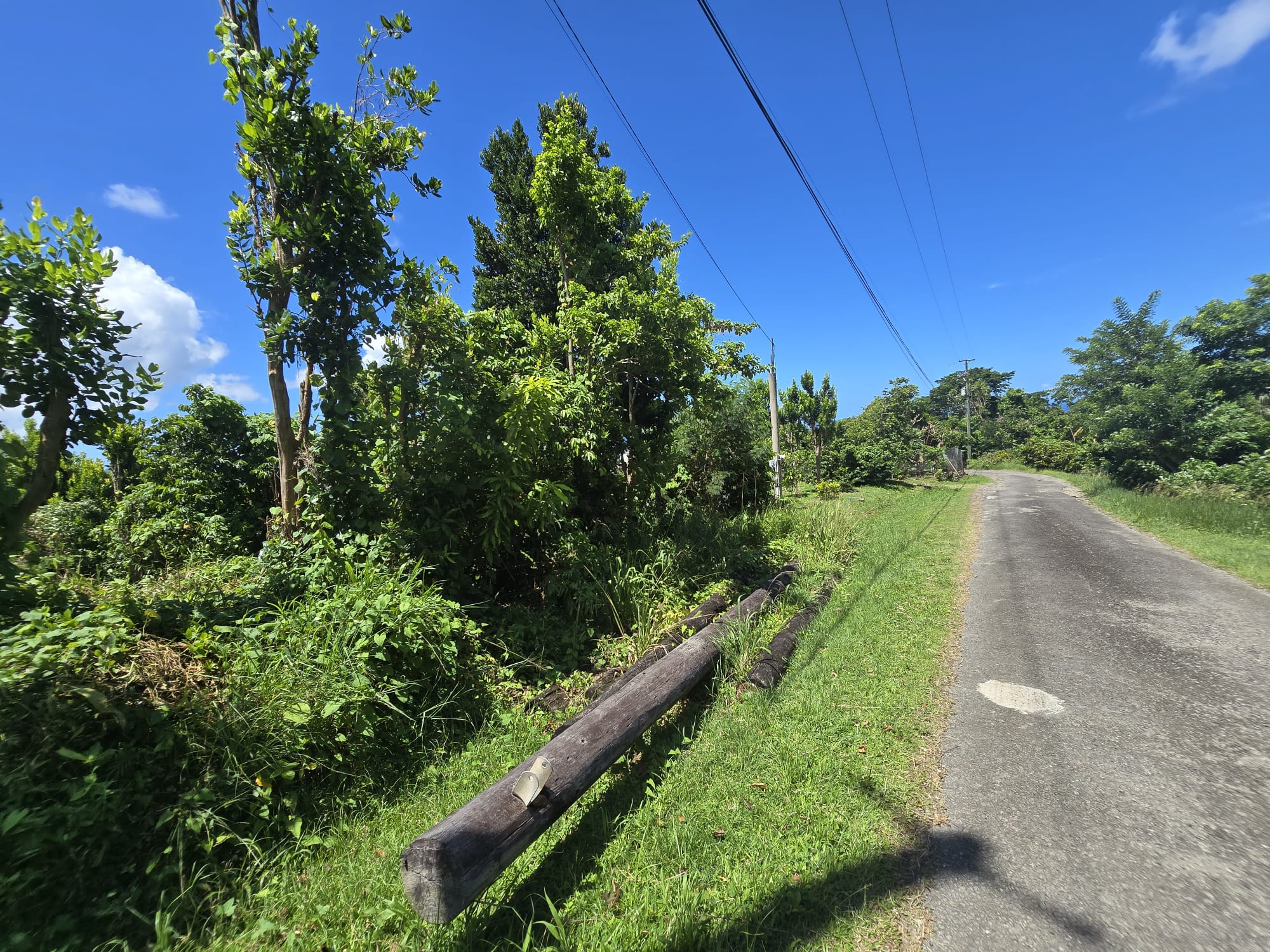9000sqft  residential lot in Savanne Paille, Dominica  – EC$140,000 / US$52,434