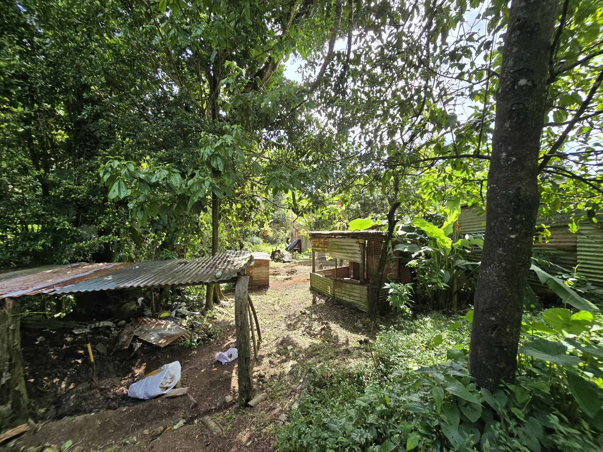 Commercial/agricultural property for sale in Sultan, Dominica -EC$3.5Million / US$1.3Million