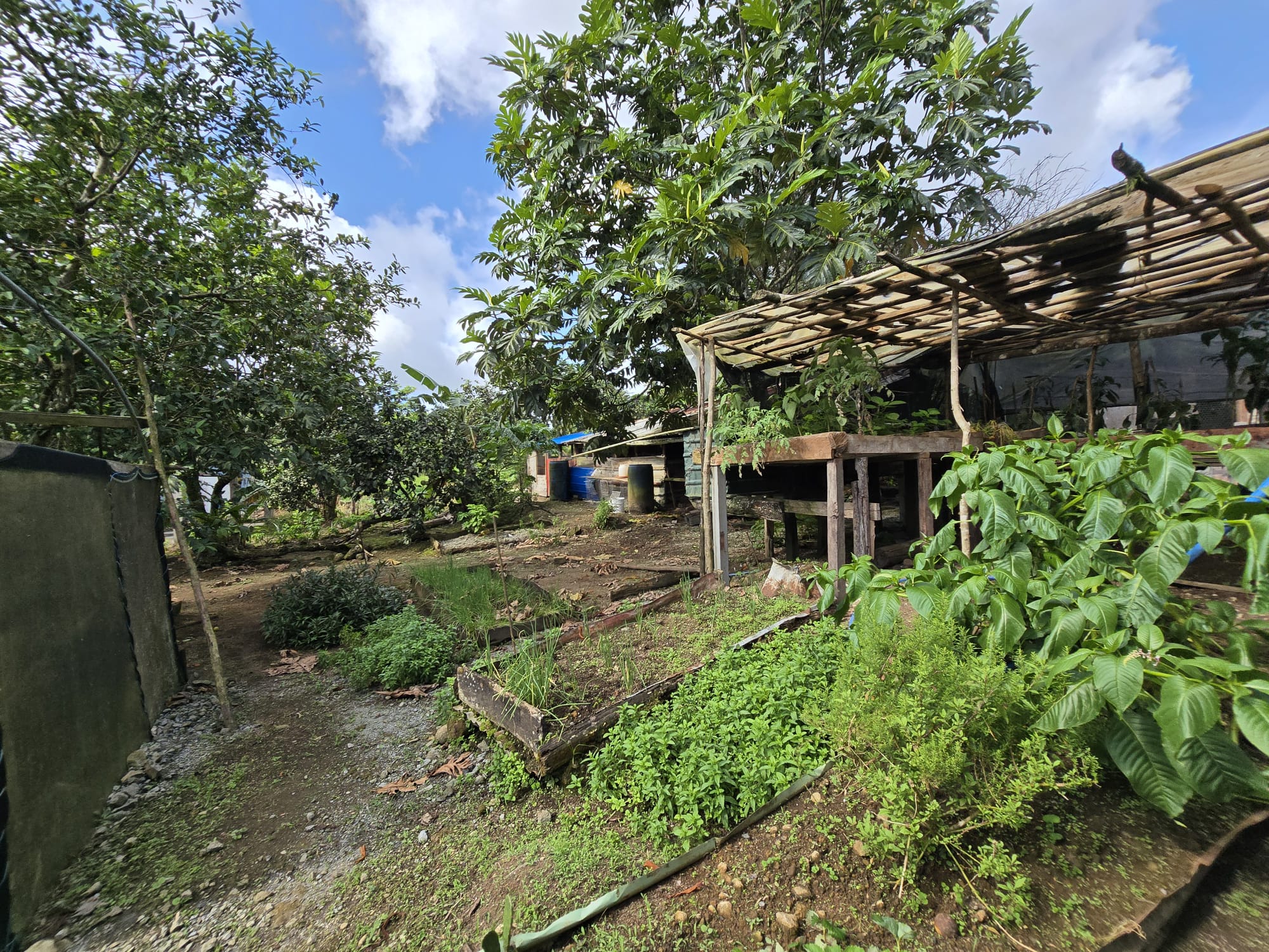 Commercial/agricultural property for sale in Sultan, Dominica -EC$3.5Million / US$1.3Million