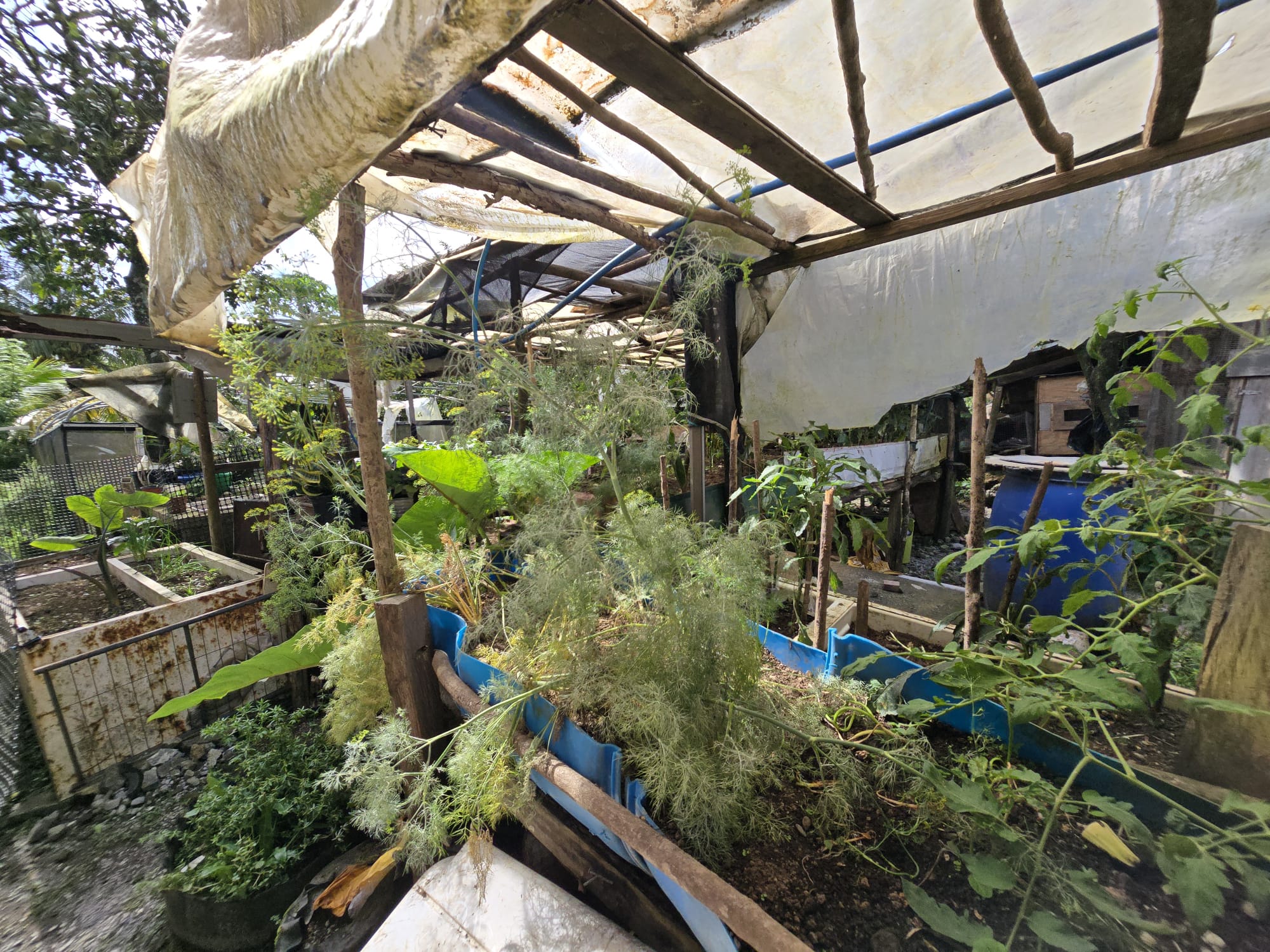 Commercial/agricultural property for sale in Sultan, Dominica -EC$3.5Million / US$1.3Million