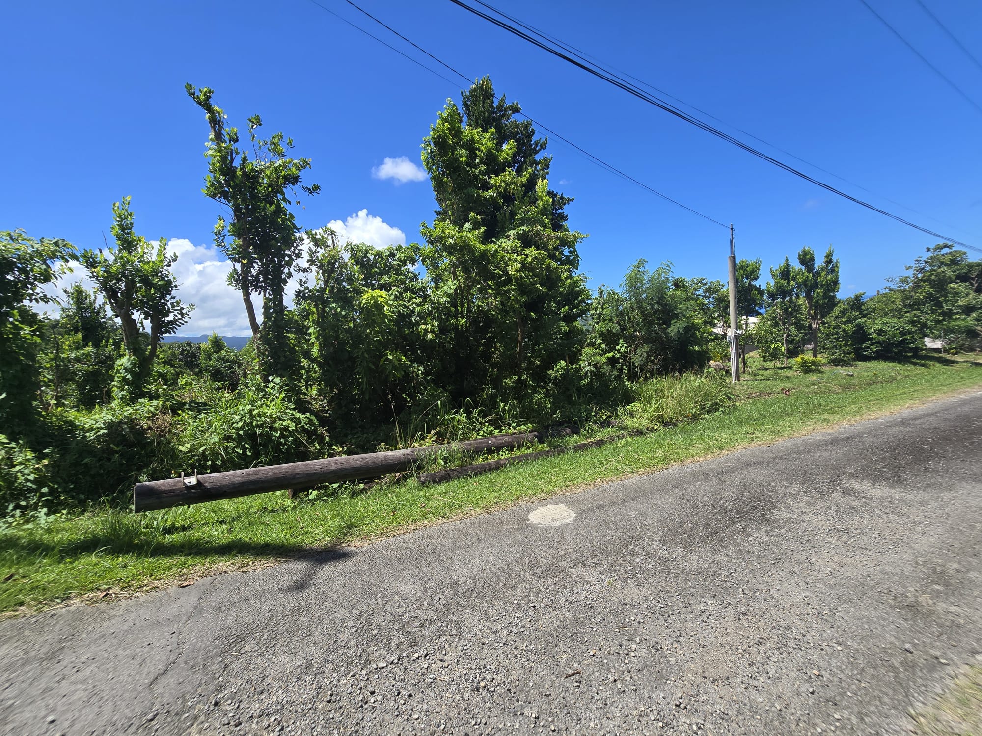 9000sqft  residential lot in Savanne Paille, Dominica  – EC$140,000 / US$52,434