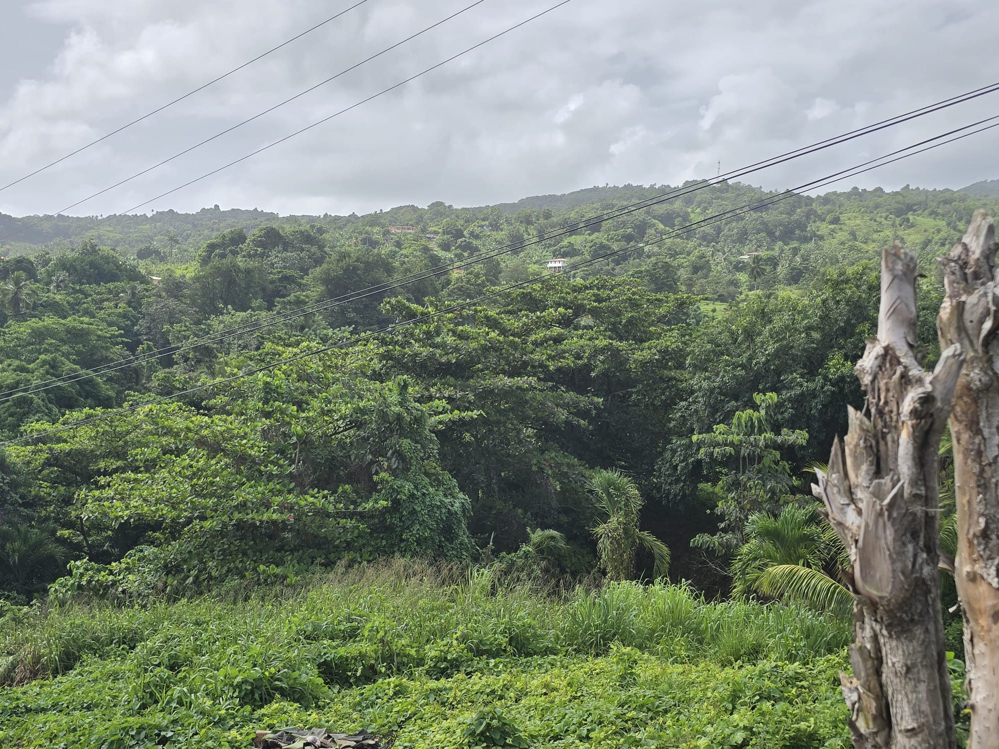 0.43 acre (18,730.8 sqft) residential lot for sale in Marigot, Dominica – EC$187,308 / US$70,153
