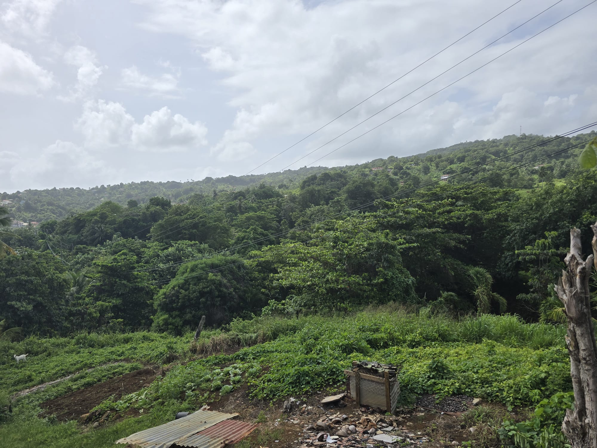 0.43 acre (18,730.8 sqft) residential lot for sale in Marigot, Dominica – EC$187,308 / US$70,153